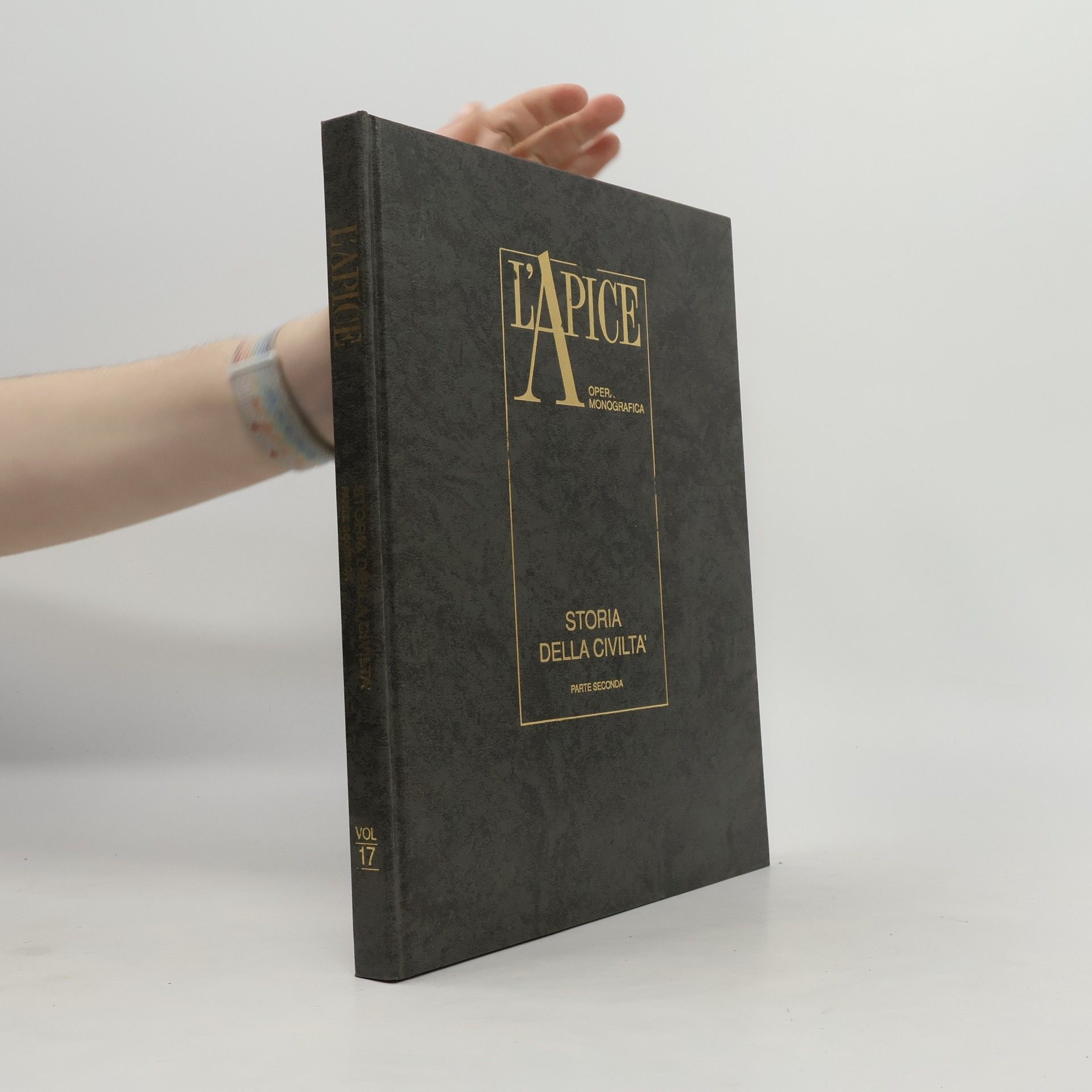 Autorenkollektiv L'Apice, vol. 17