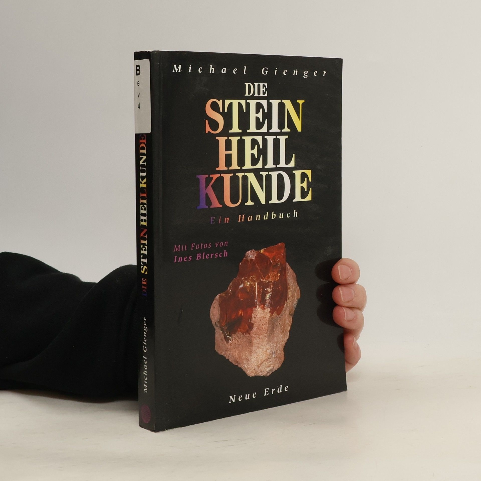 Michael Gienger Die Steinheilkunde