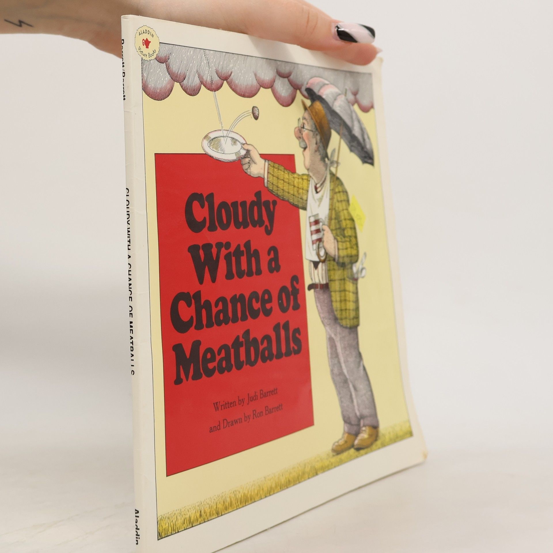 Judi Barrett Cloudy With a Chance of Meatballs