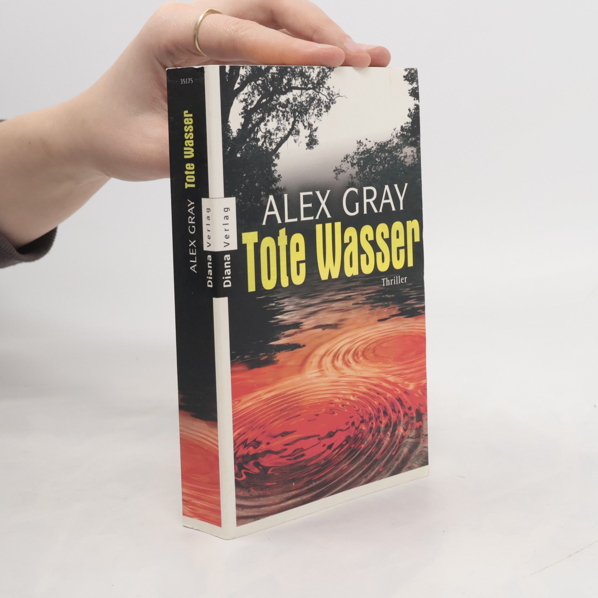 Alex Gray Tote Wasser. Roman