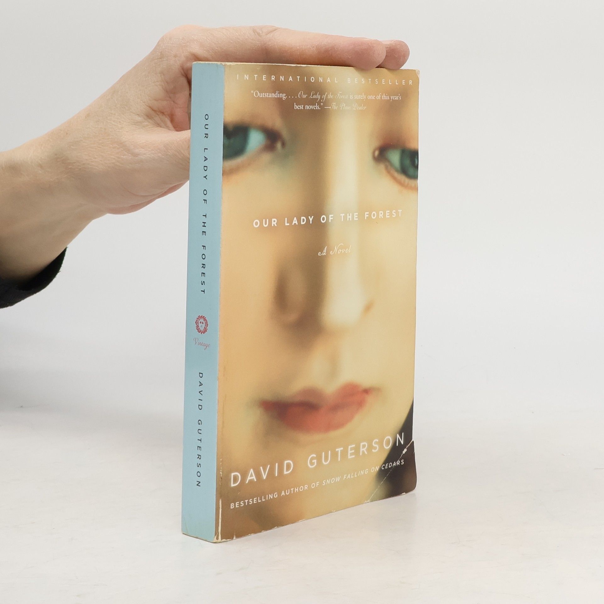 David Guterson Our Lady Of The Forest