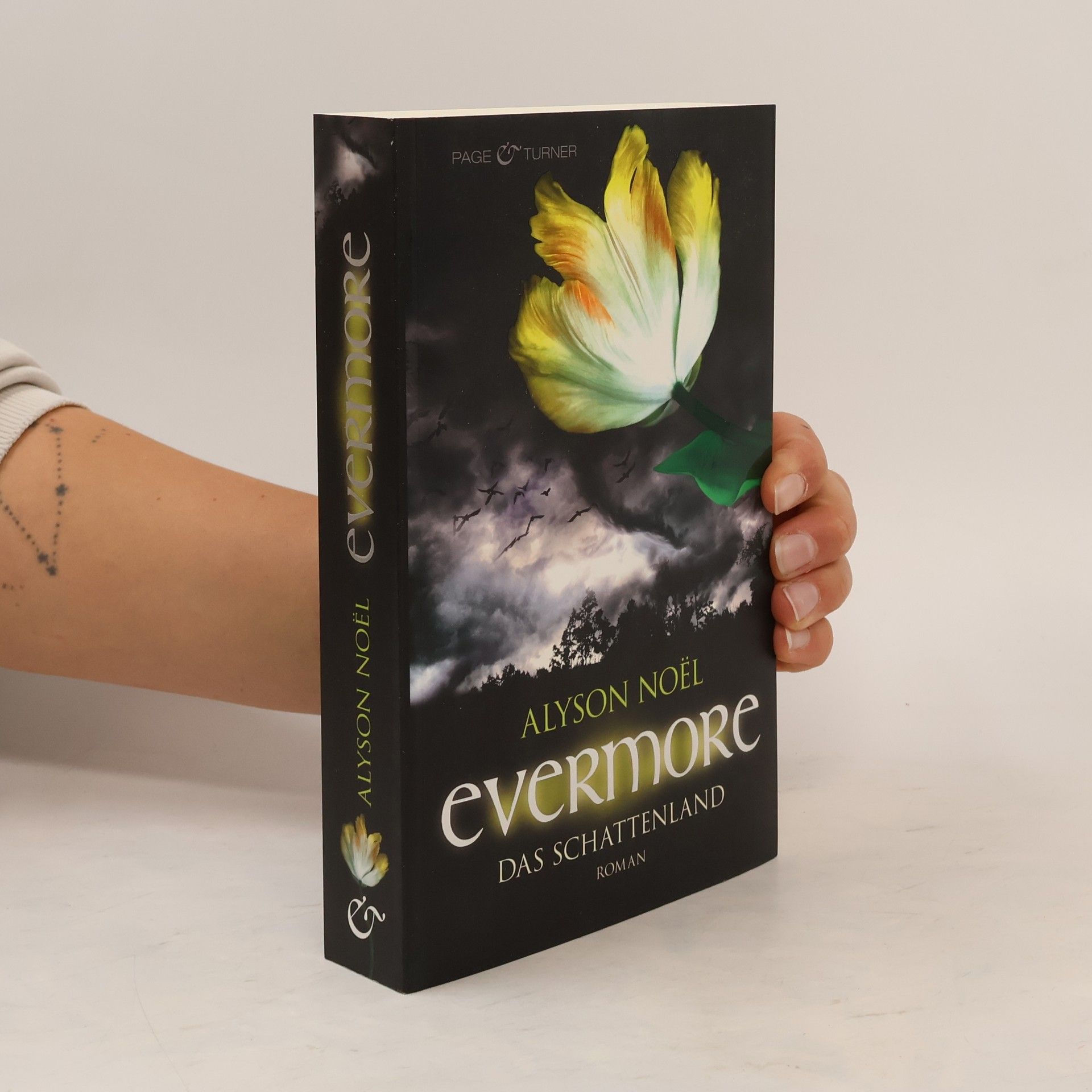 Alyson Noë͏l Evermore: Das Schattenland