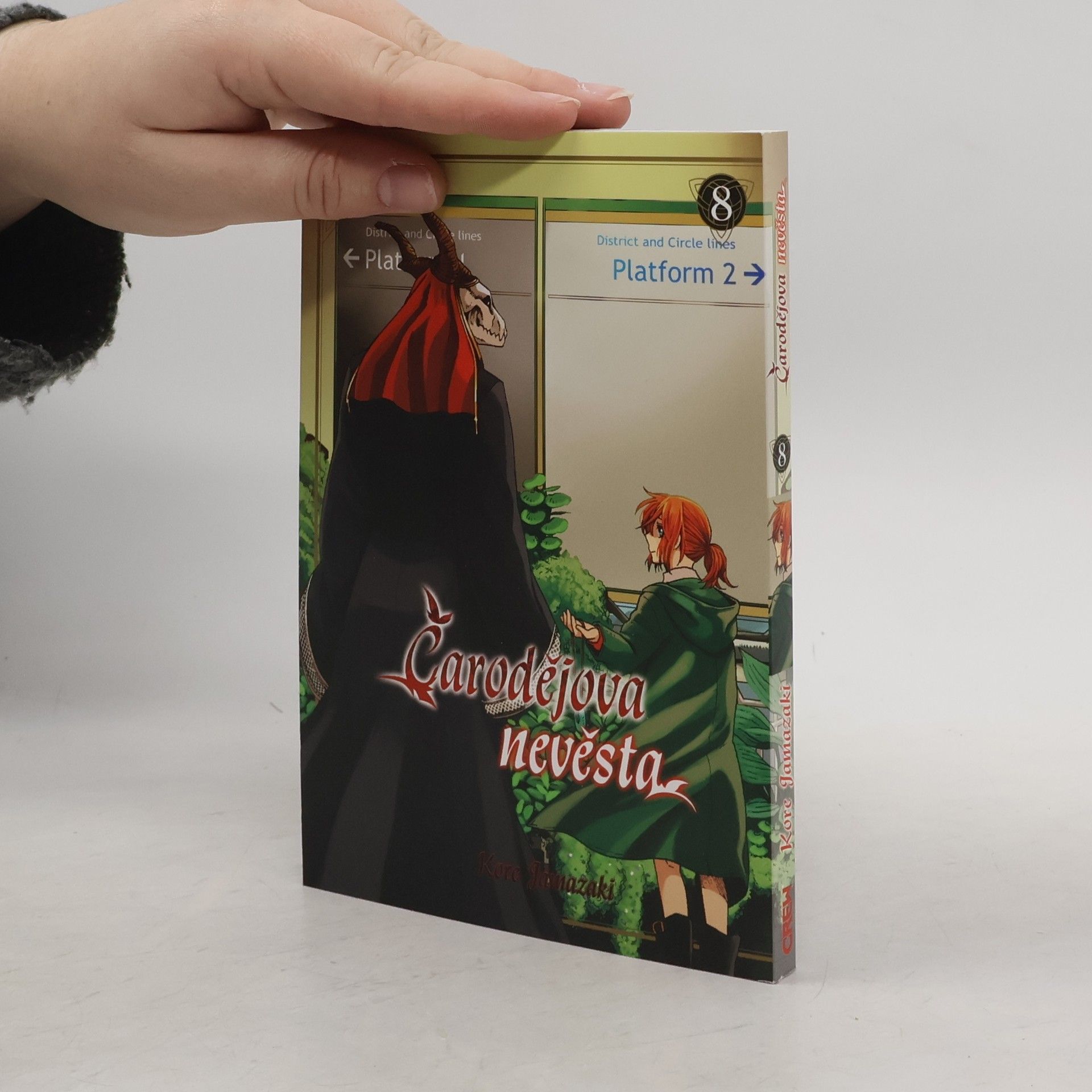 Čarodějova nevěsta 8