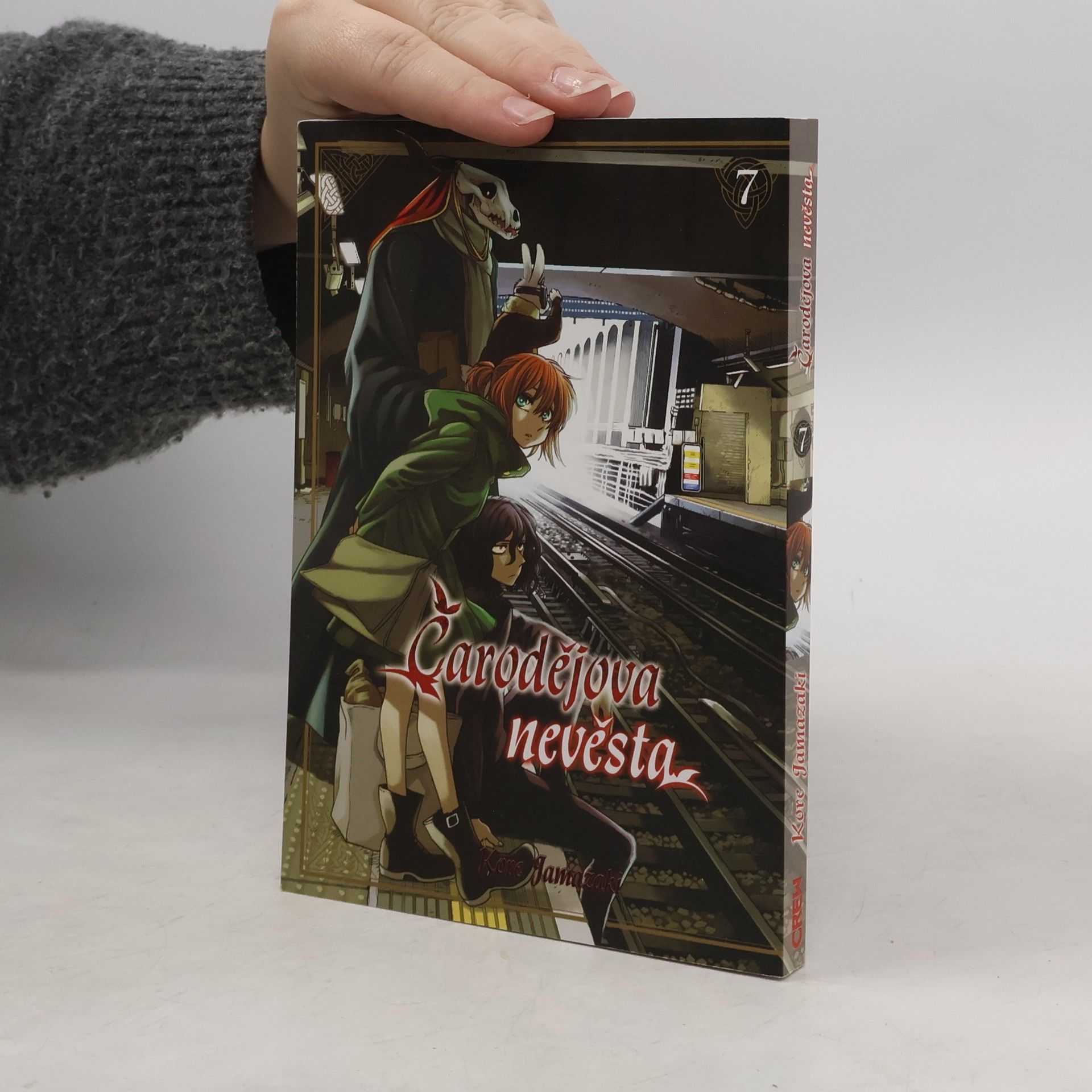 Kore Jamazaki Čarodějova nevěsta 7
