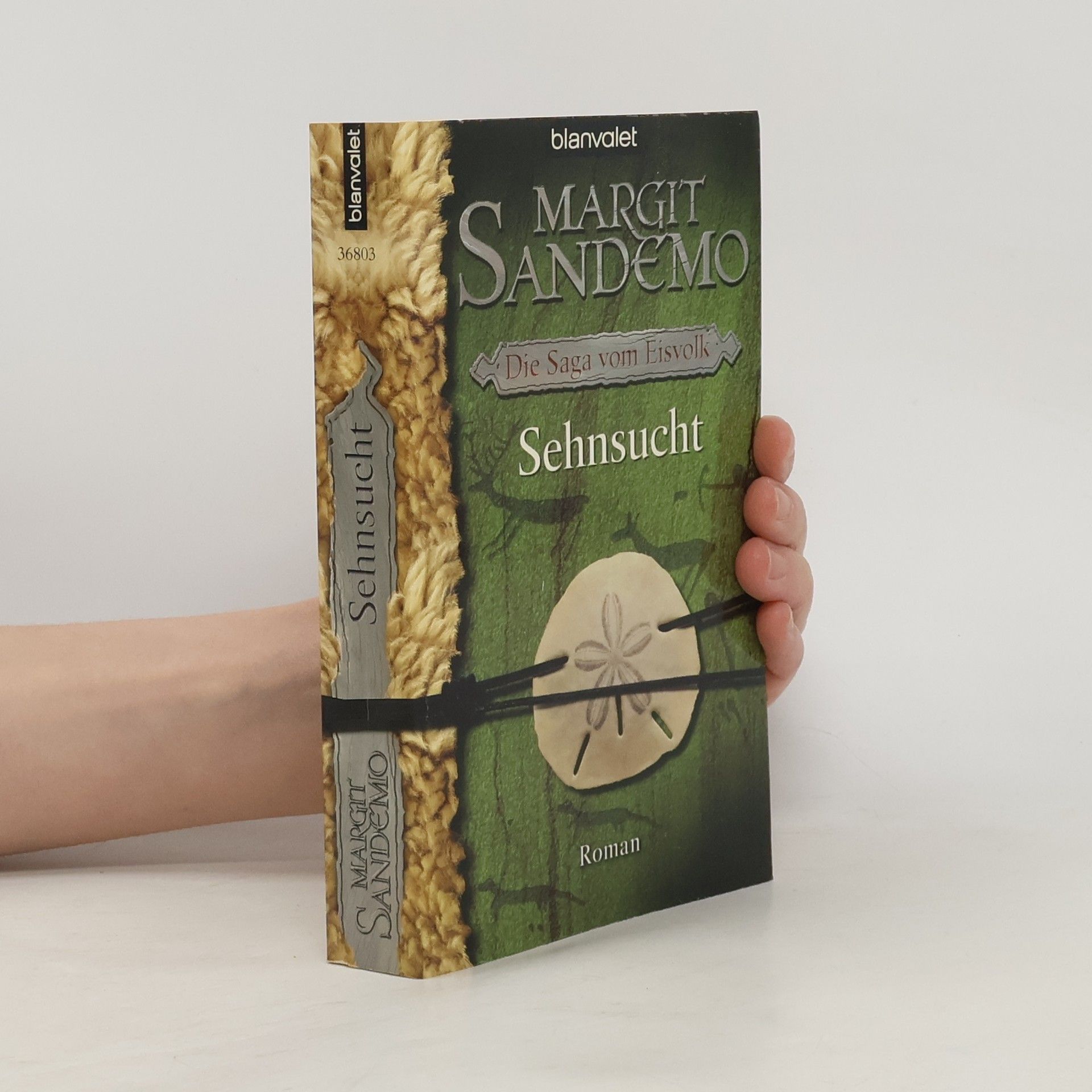 Margit Sandemo Die Saga vom Eisvolk. Der Zauberbund