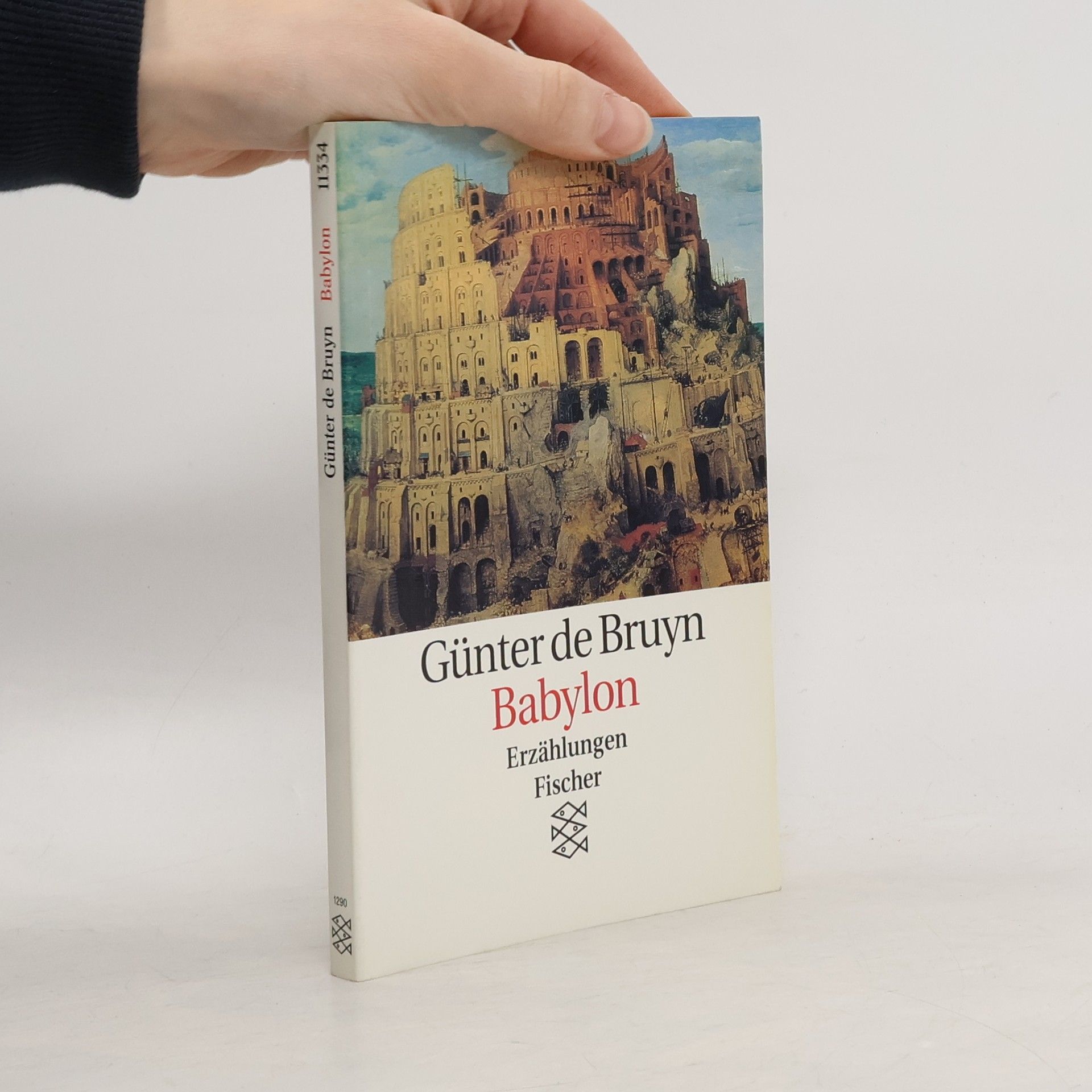 Günther de Bruyn Babylon. Erzählungen