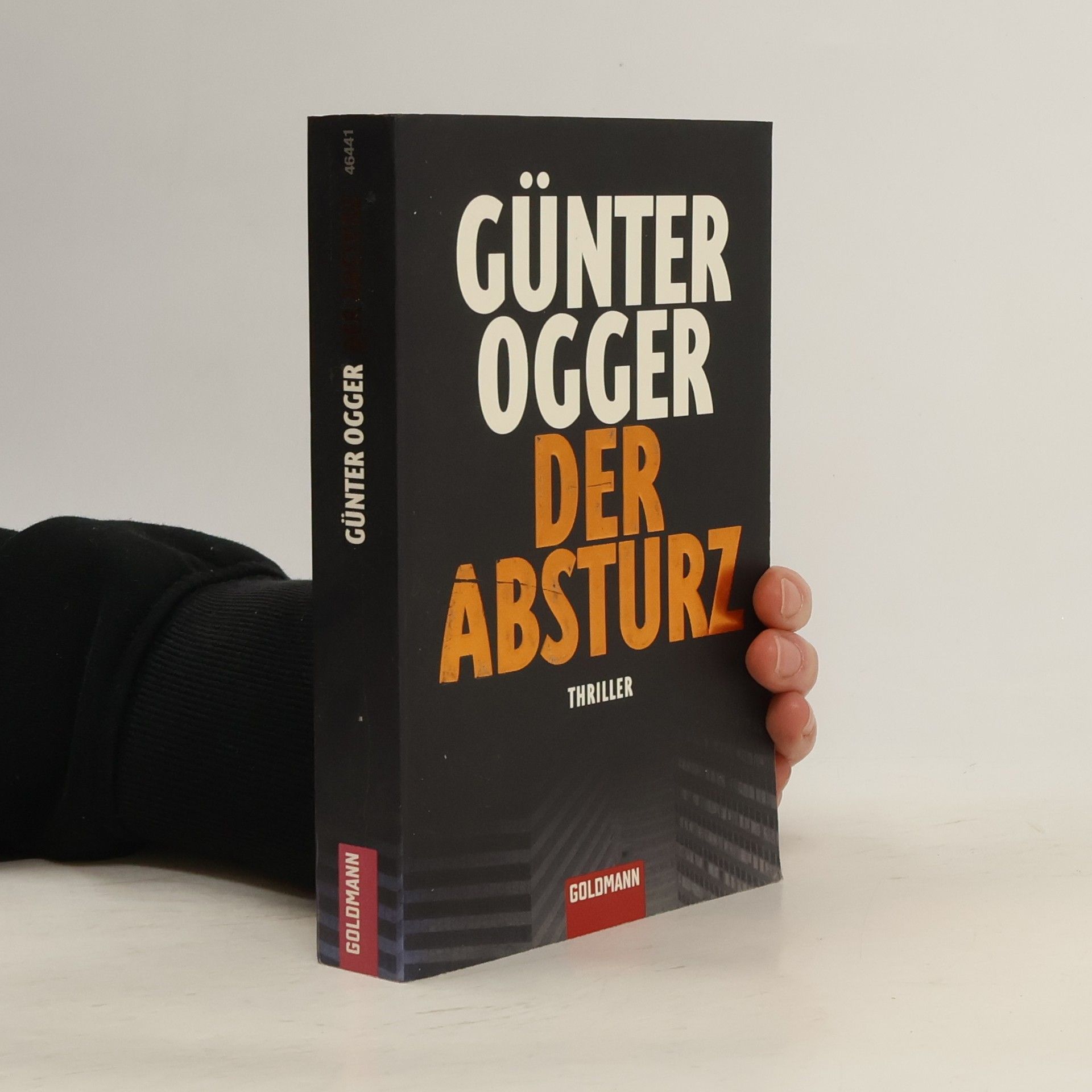 Günter Ogger Der Absturz