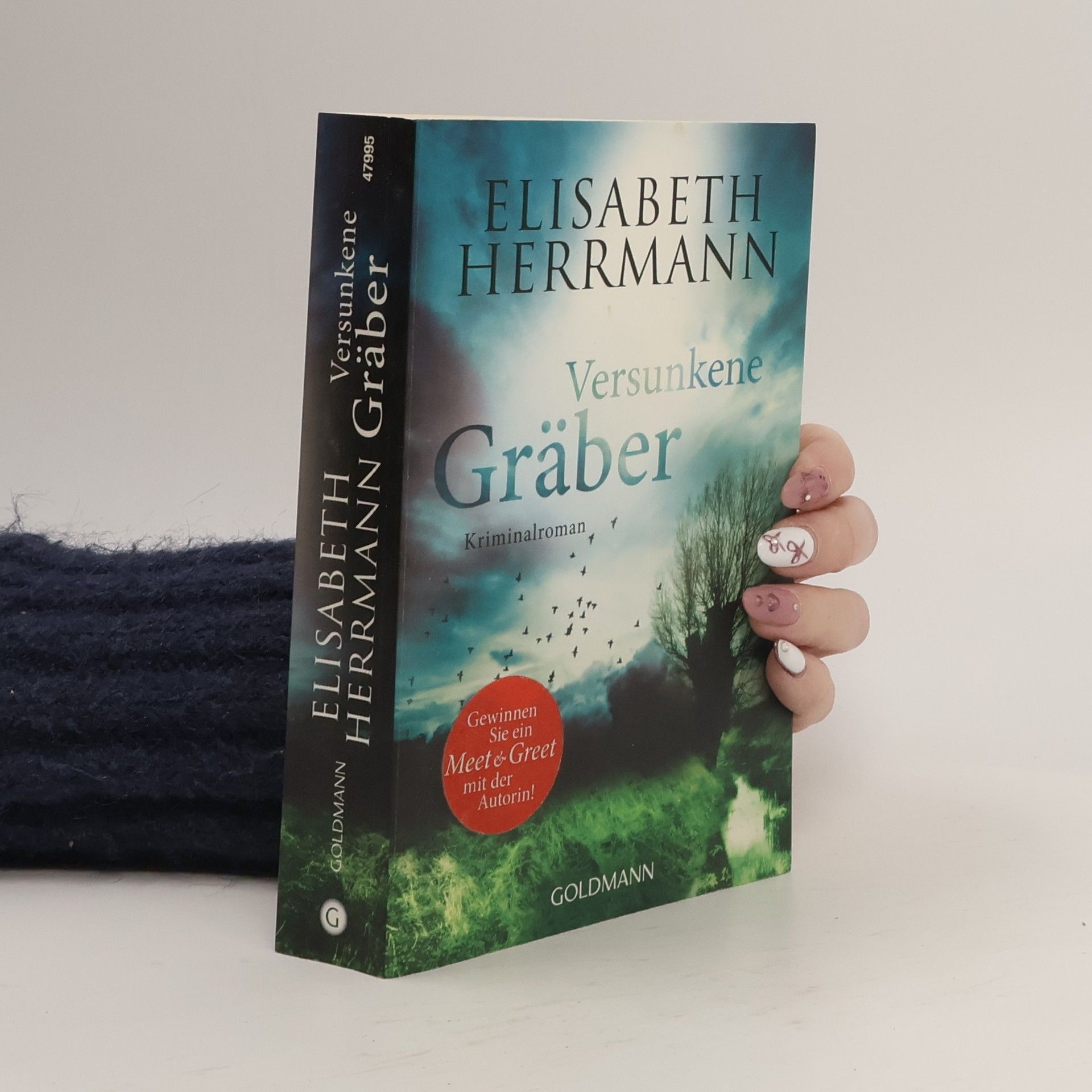 Elisabeth Hermann Versunkene Gräber