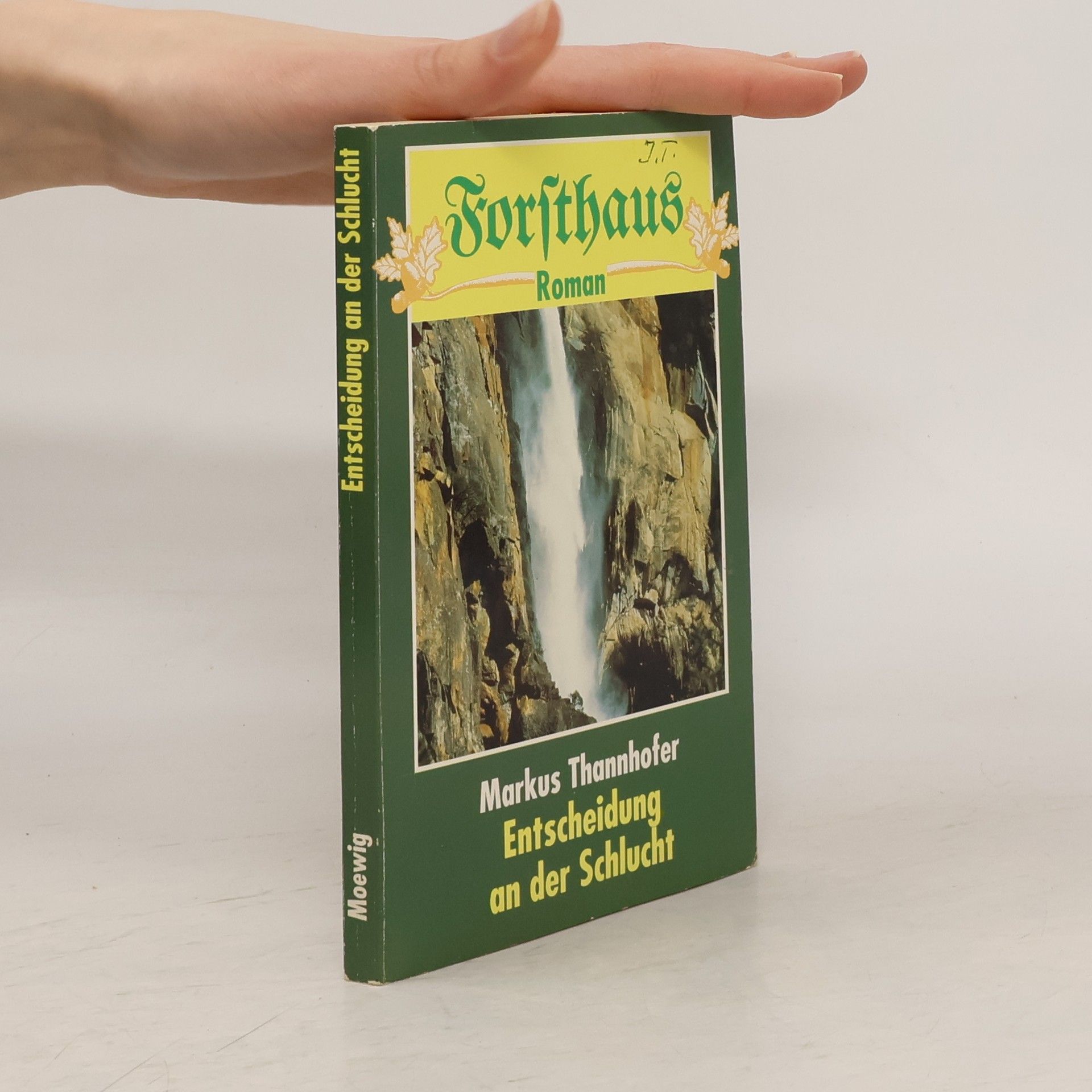 Markus Thannhofer Entscheidung an der Schlucht