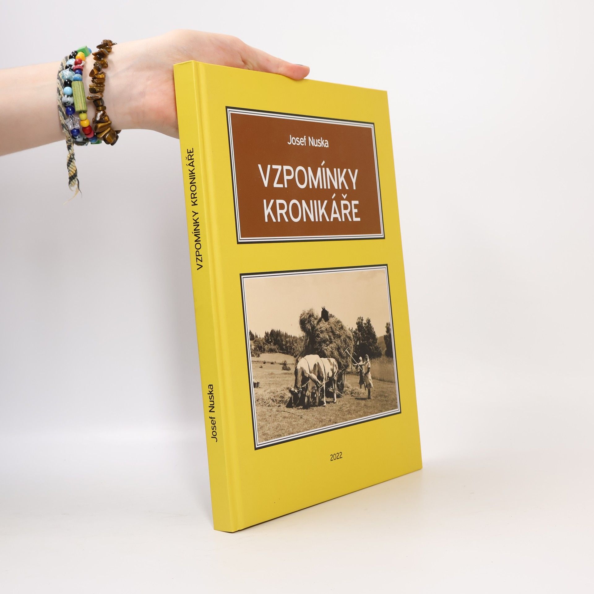 Vzpomínky kronikáře