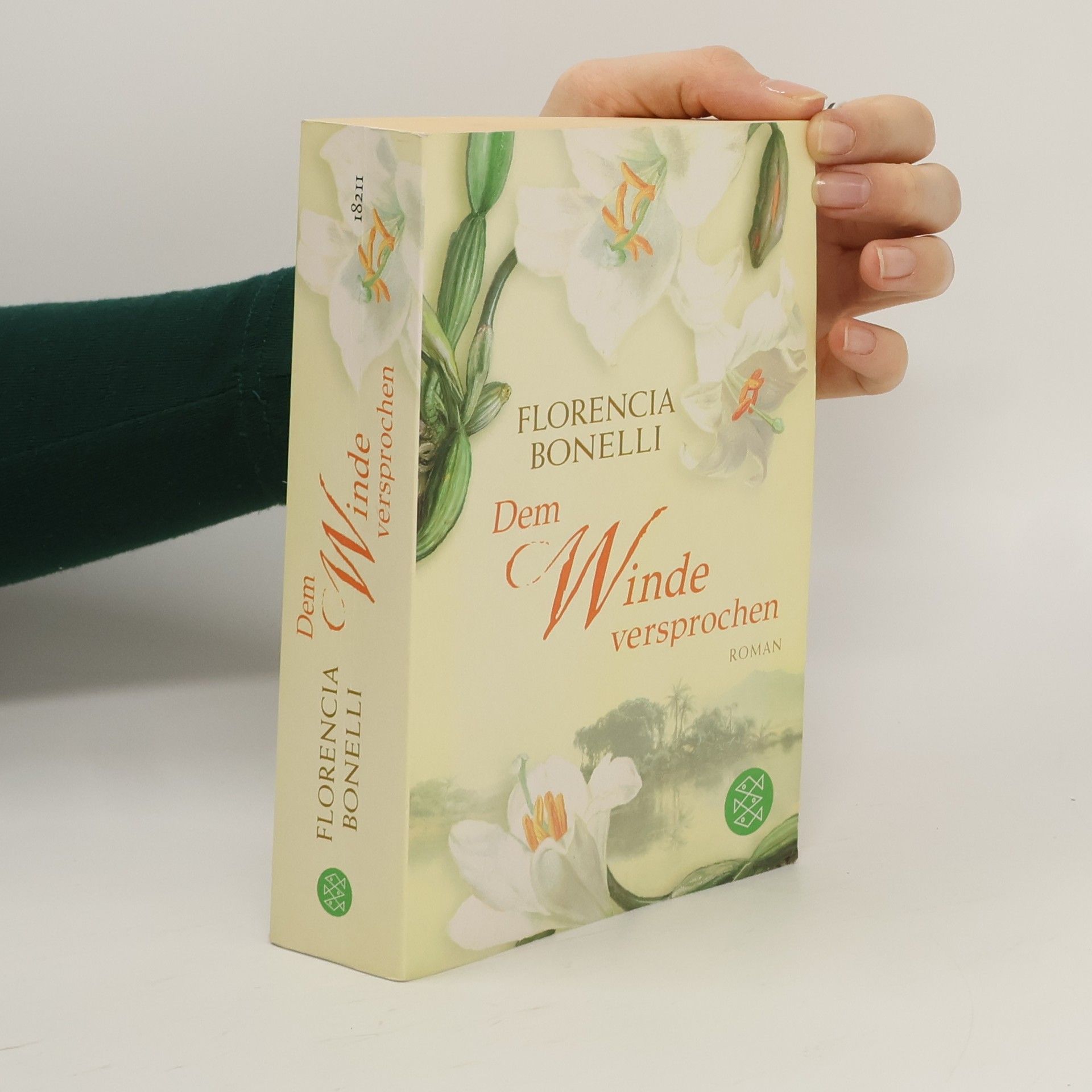 Florencia Bonelli Dem Winde versprochen