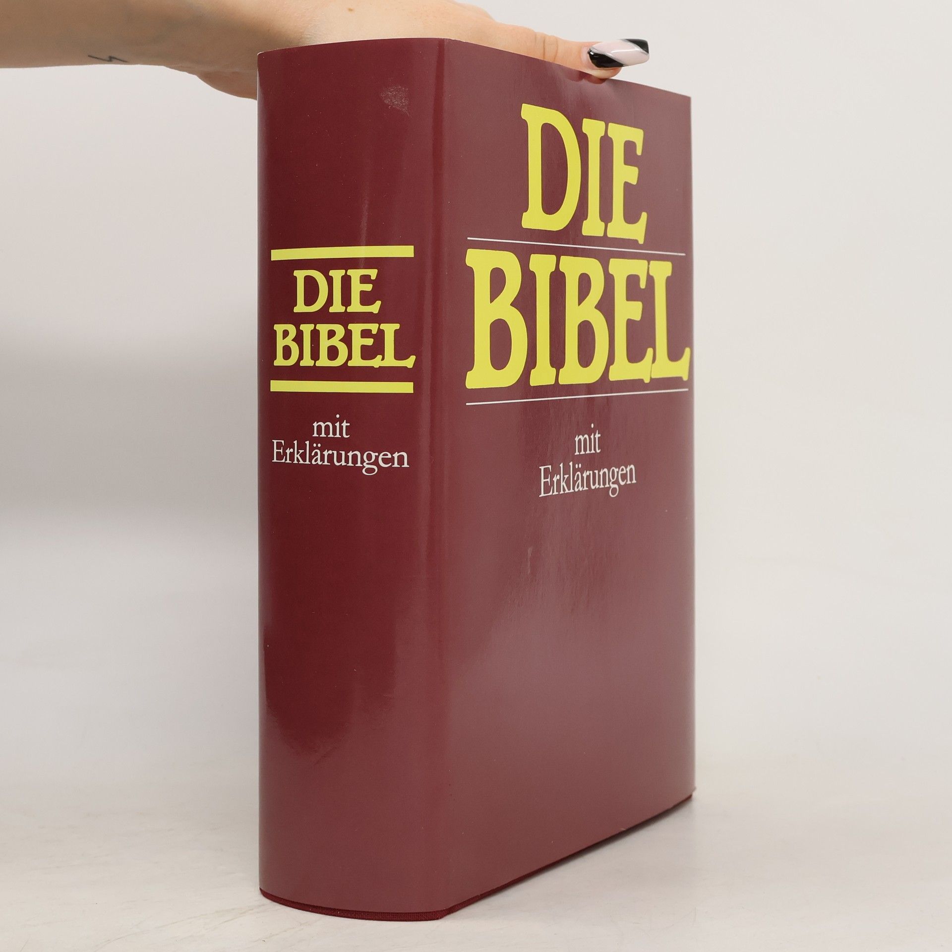 Martin Luther Die Bibel mit Erklärungen