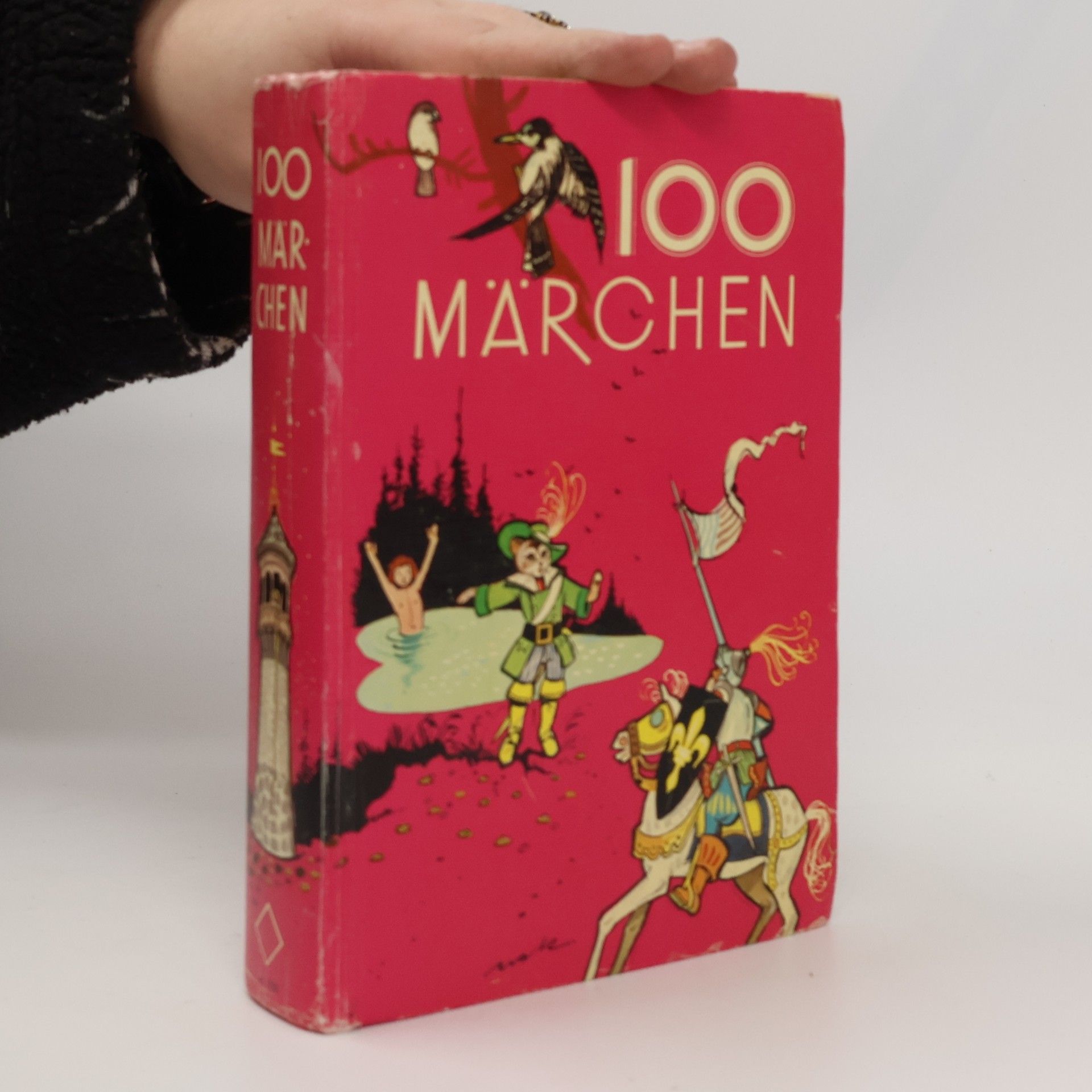 Joana Ried 100 Märchen