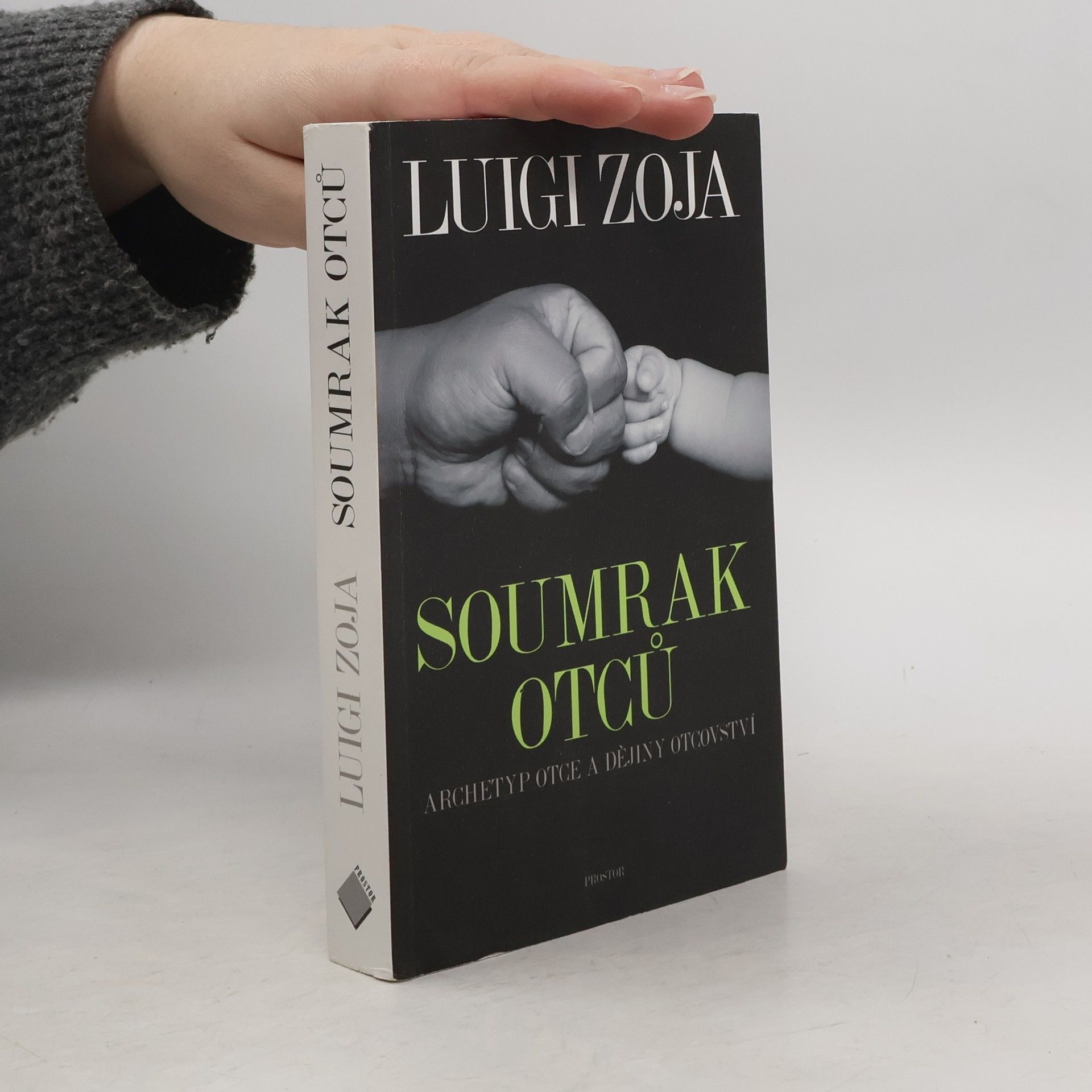 Luigi Zoja Soumrak otců - Archetyp otce a dějiny otcovství