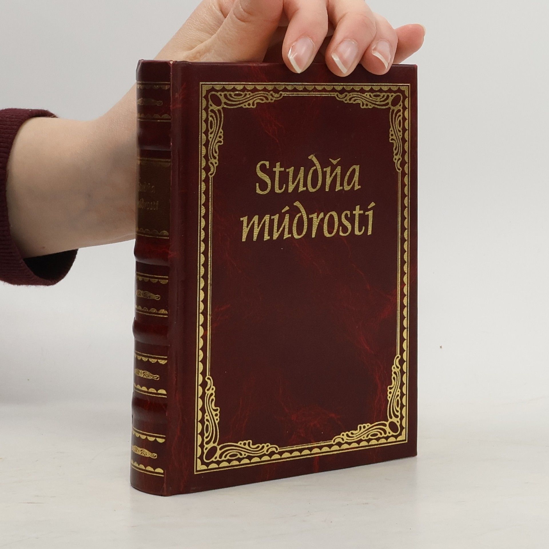 Lucia Jesenská Studňa múdrostí