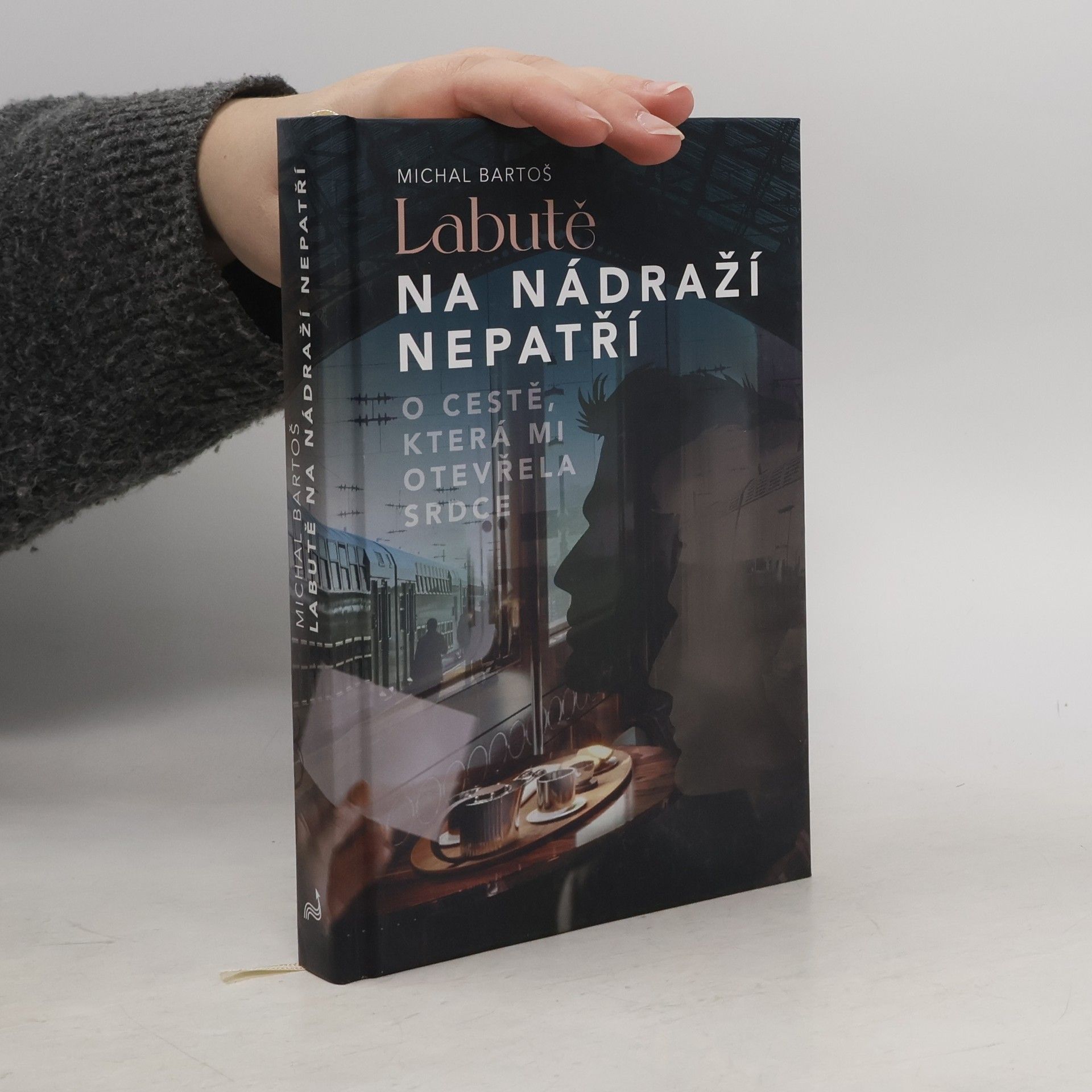 Labutě na nádraží nepatří