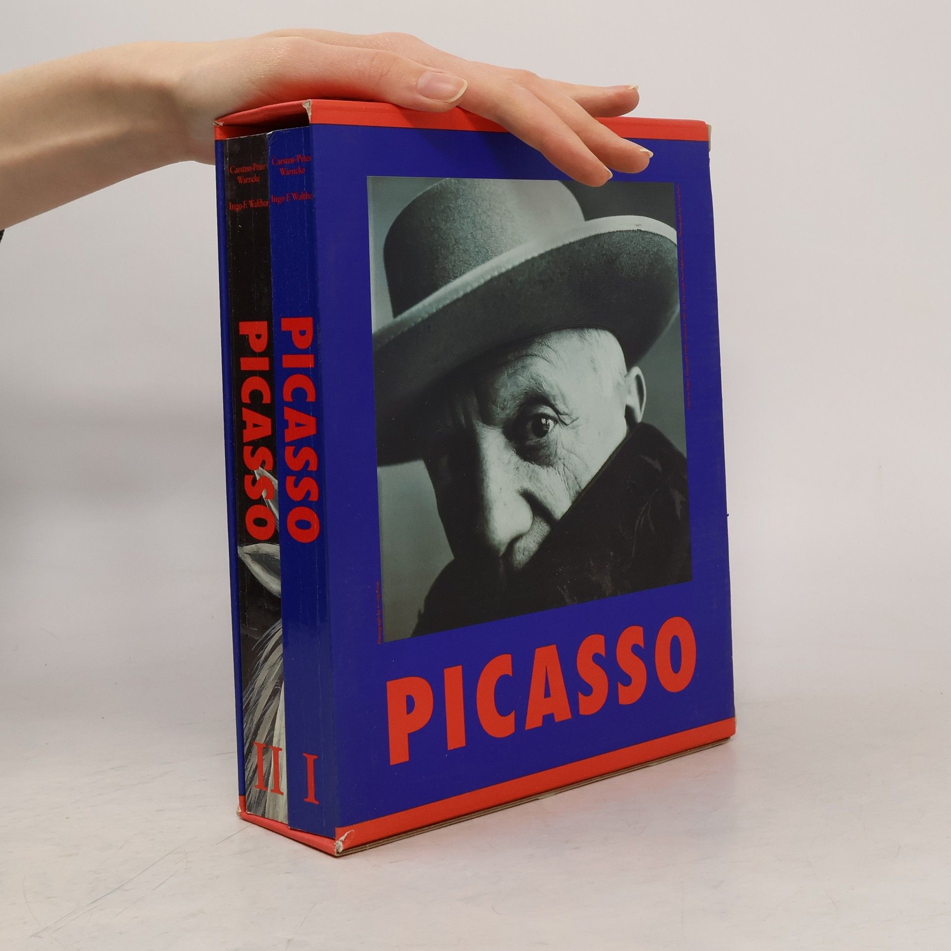 Pablo Picasso Pablo Picasso I. a II. (2 svazky, box)