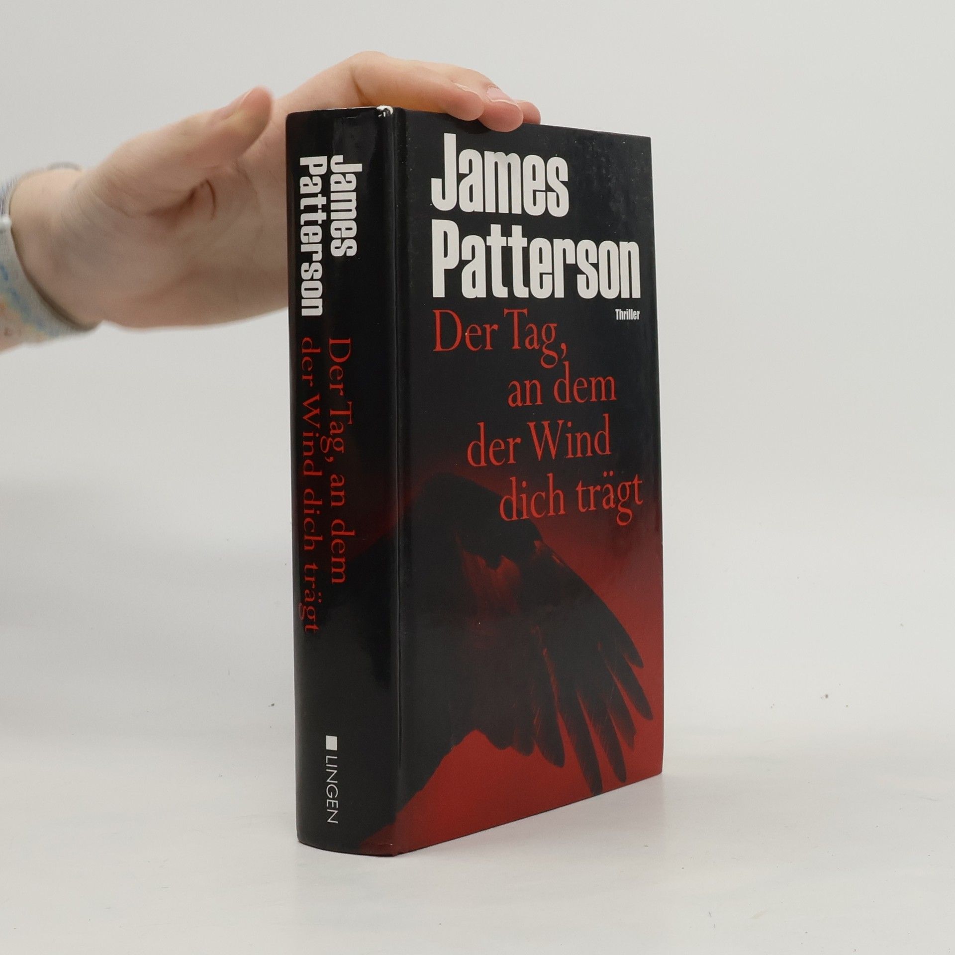 James Patterson Der Tag, an dem der Wind dich trägt