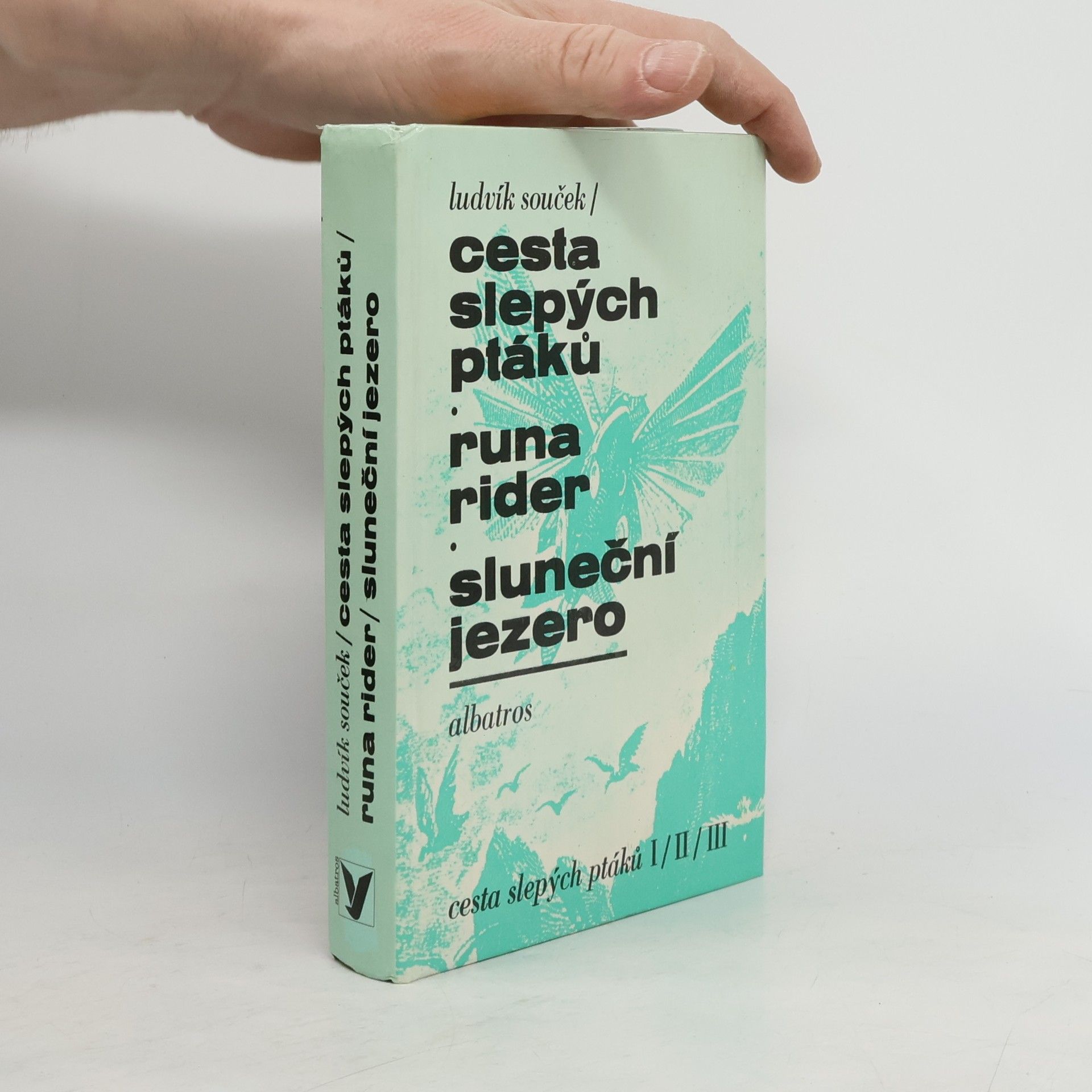 Cesta slepých ptáků, Runa rider, Sluneční jezero