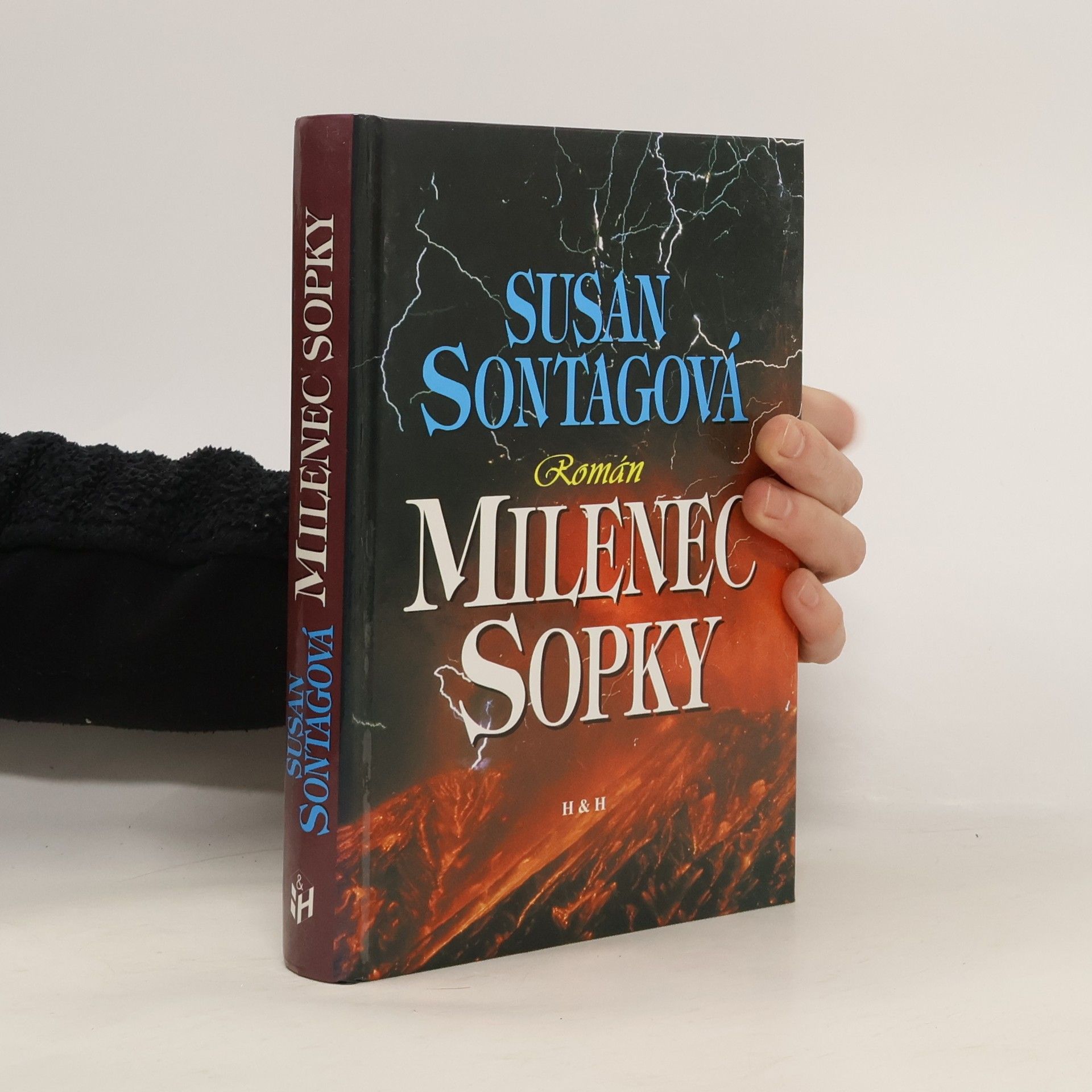 Susan Sontag Milenec sopky
