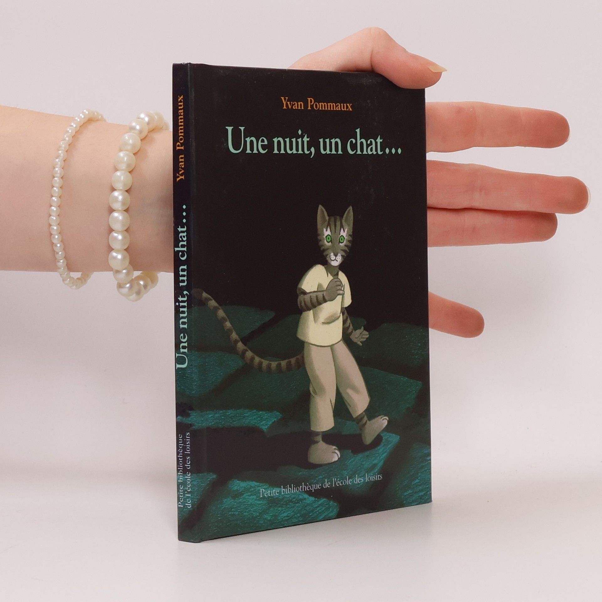 Yvan Pommaux Petite bibliothèque de l'école des loisirs: Une nuit, un chat...