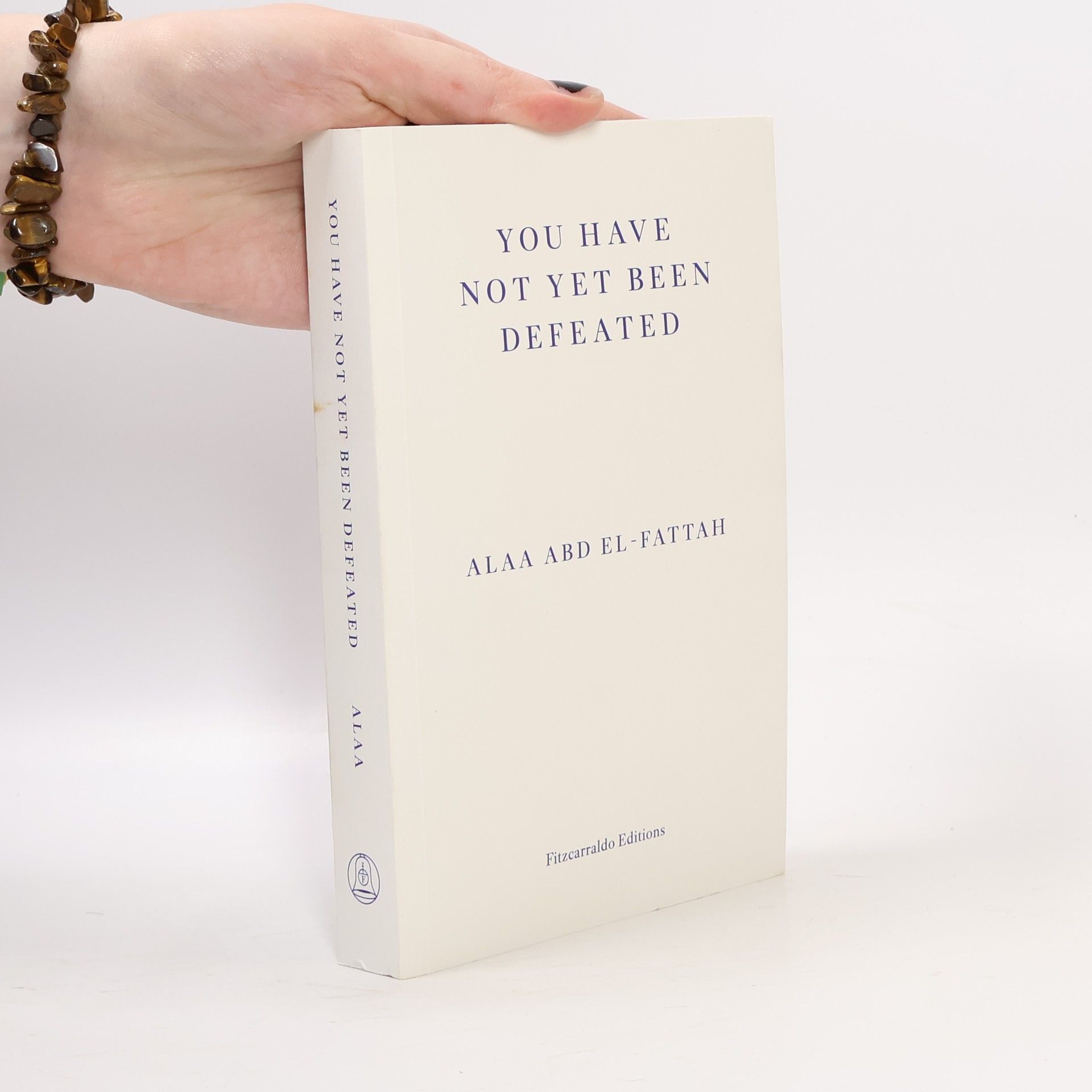 Alaa Abd el-Fattah You Have Not Yet Been Defeated