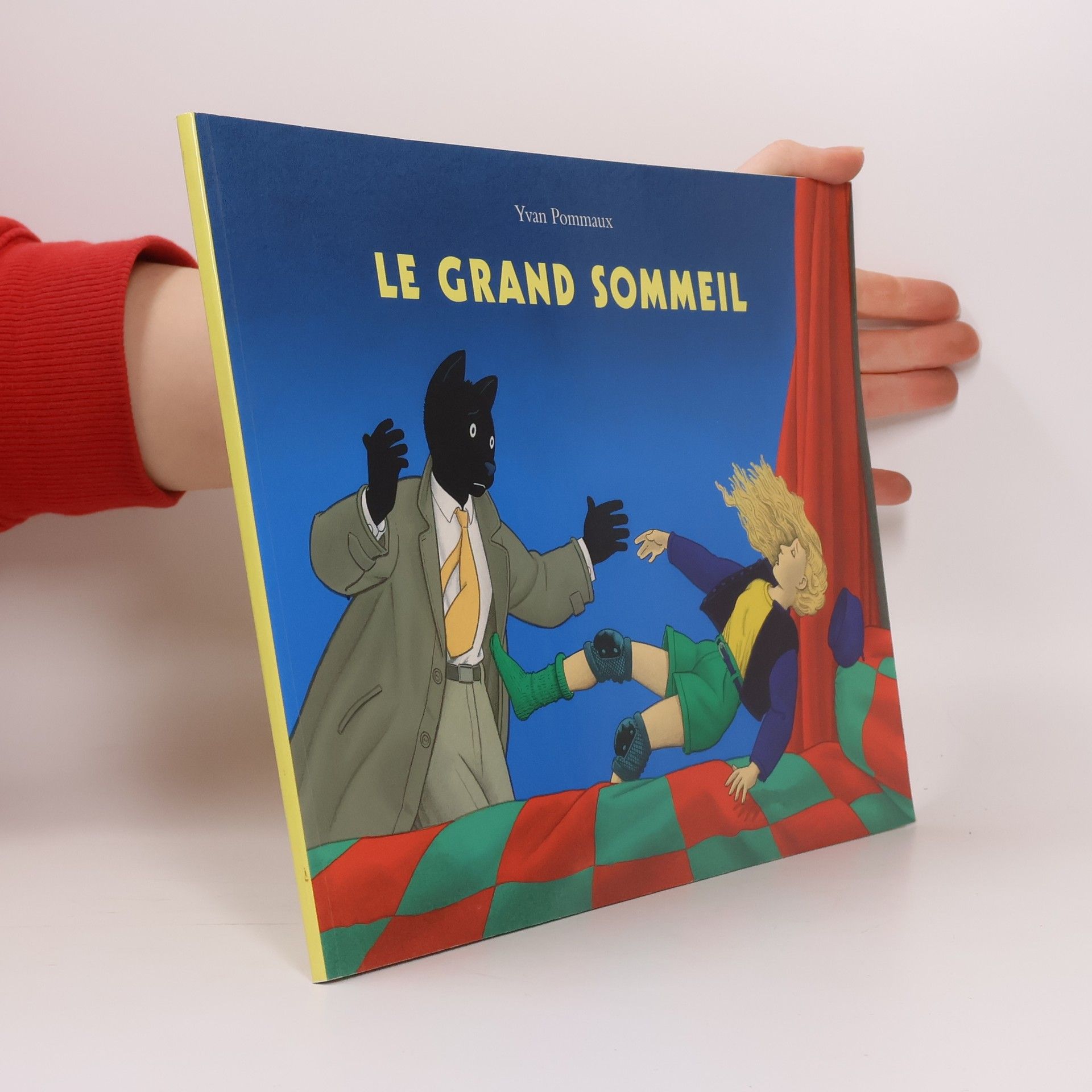 Yvan Pommaux Le grand sommeil