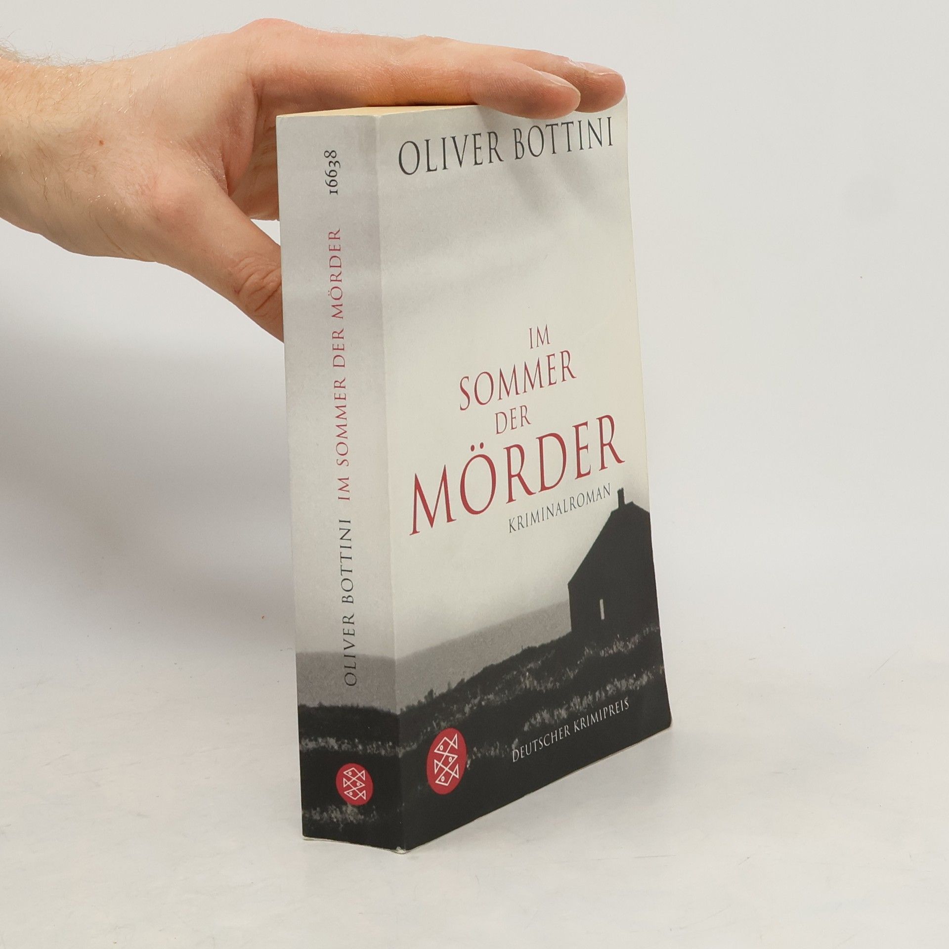 Oliver Bottini Im Sommer der Mörder