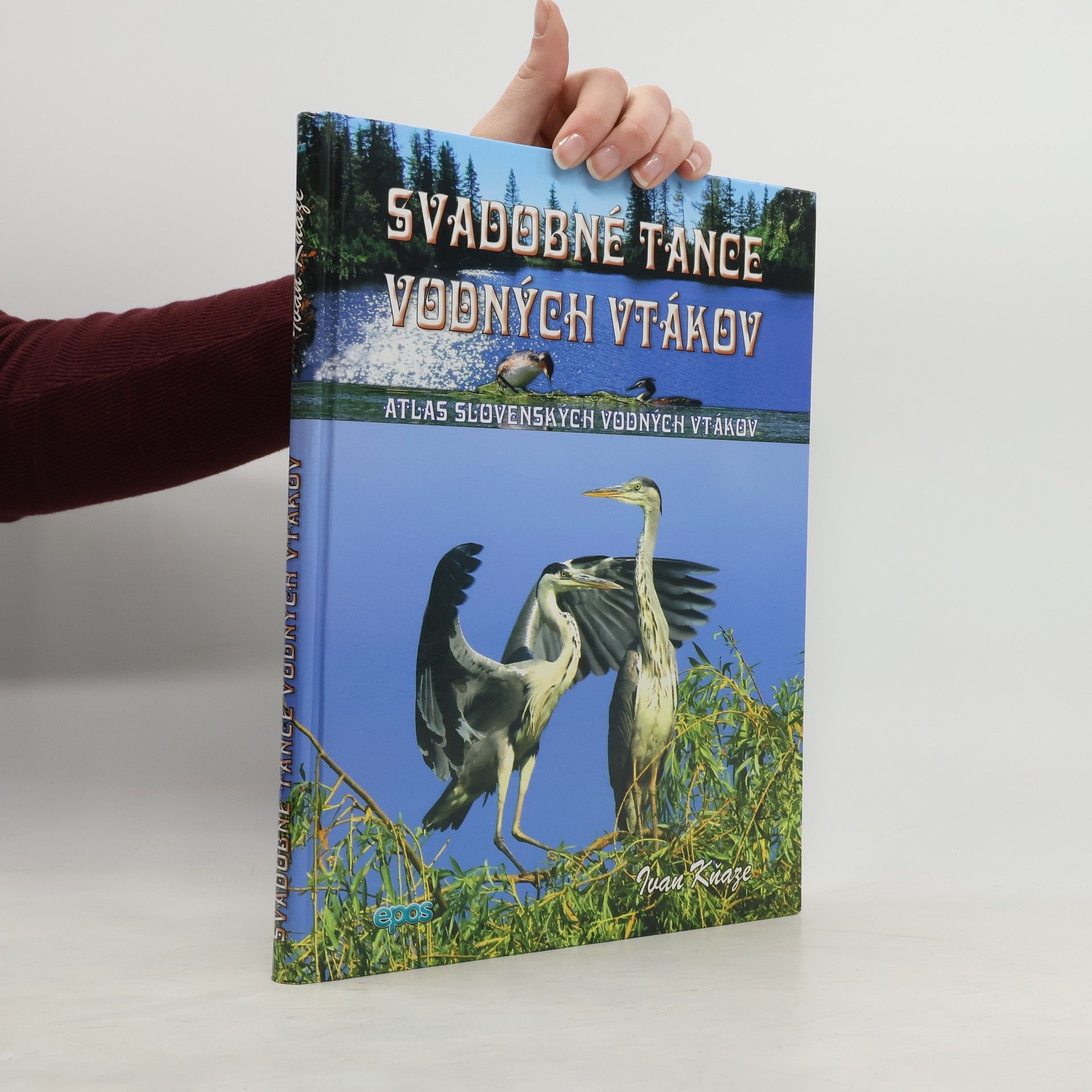 Ivan Kňaze Svadobné tance vodných vtákov