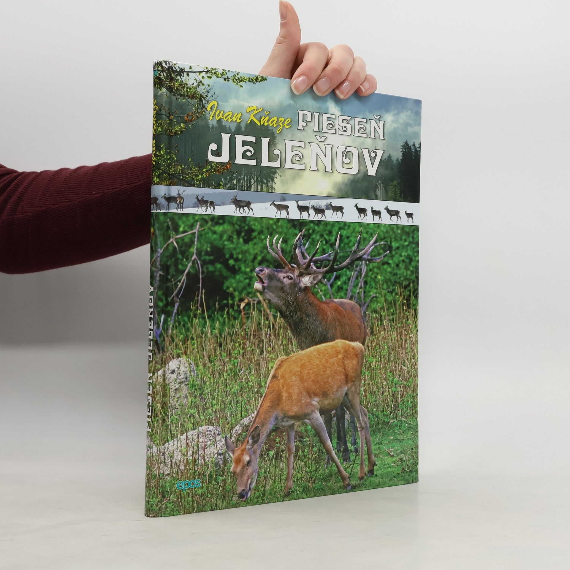 Ivan Kňaze Pieseň jeleňov