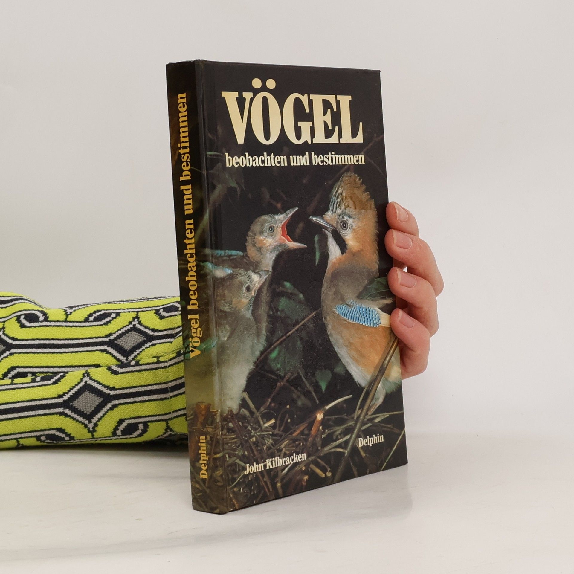 John Kilbracken Vögel beobachten und bestimmen