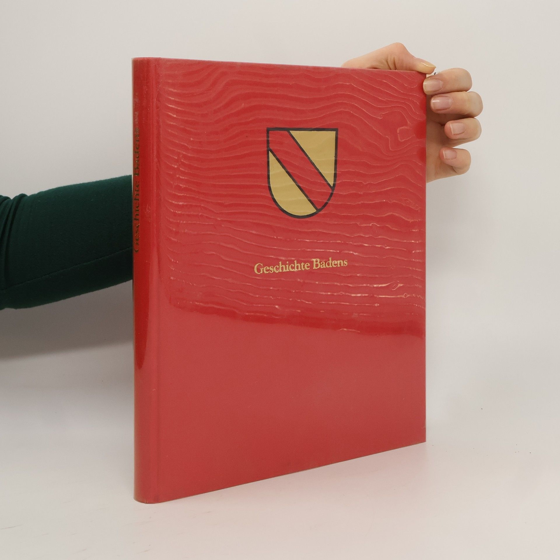 Autorenkollektiv Geschichte Badens in Bildern 1100-1918