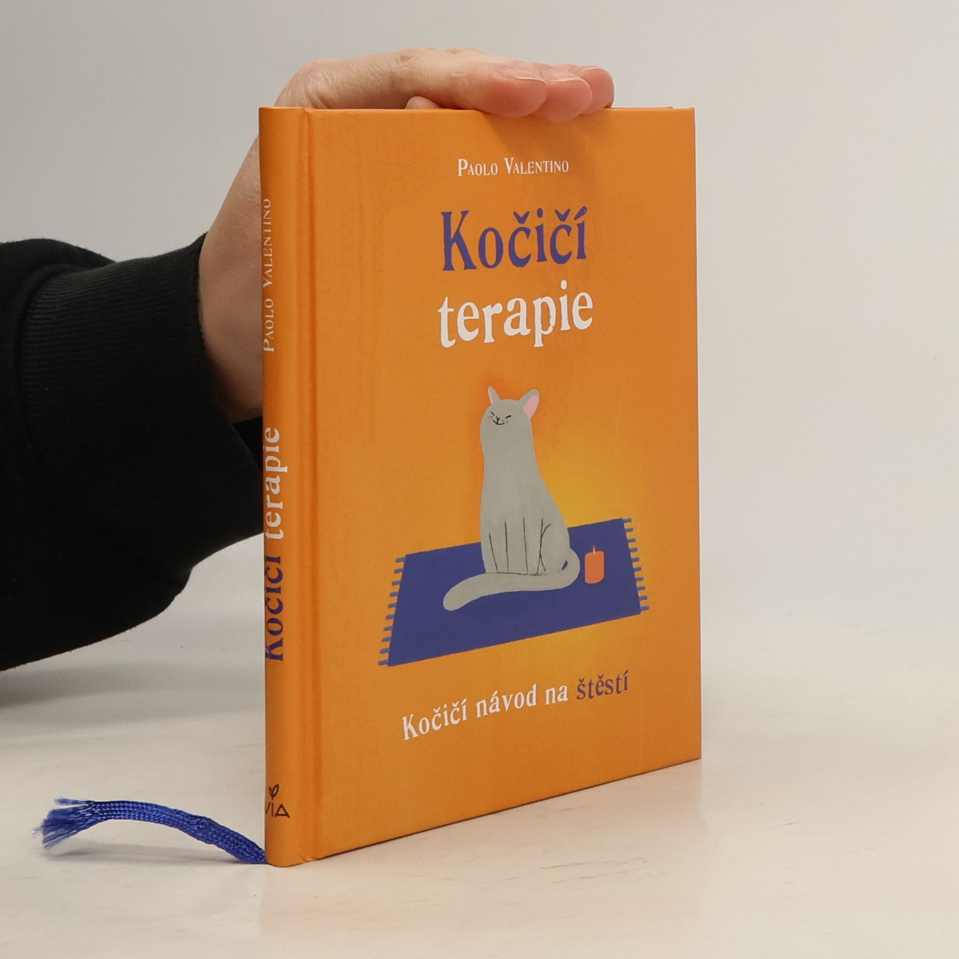 Kočičí terapie. Kočičí návod na štěstí