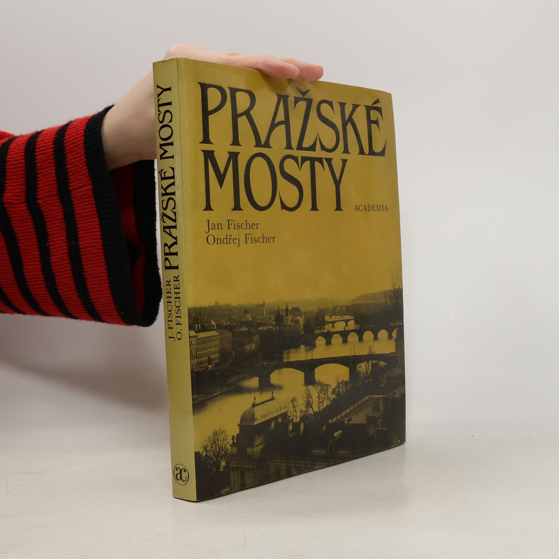 Jan Fischer Pražské mosty