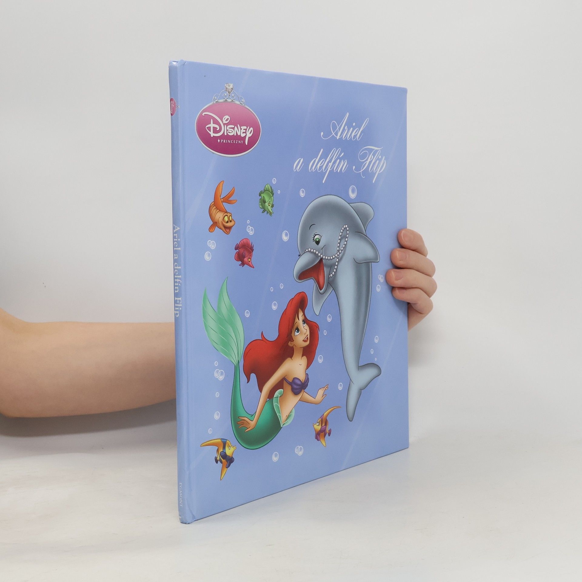 Collectif d'auteurs Ariel a delfín Flip