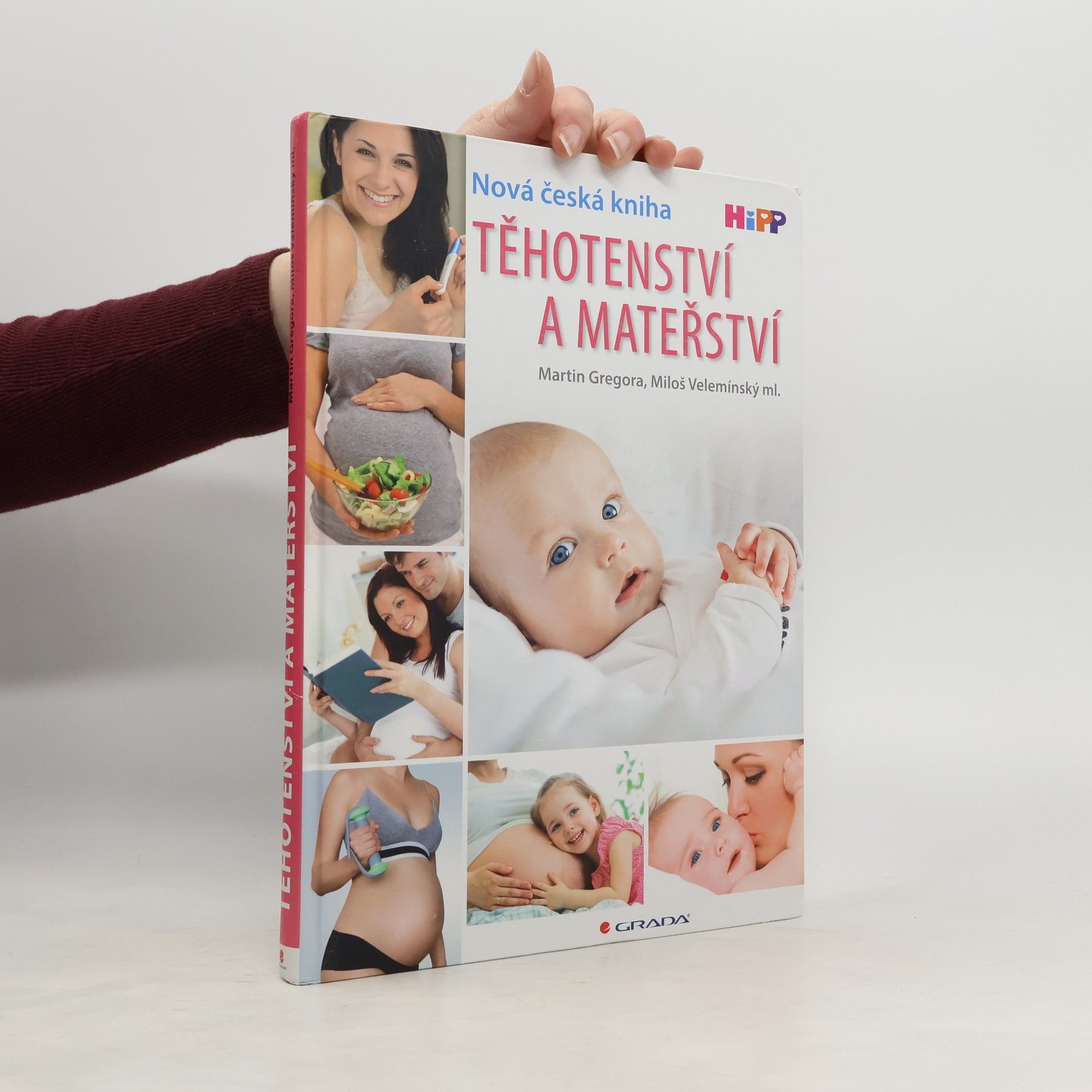 Martin Gregora Těhotenství a mateřství