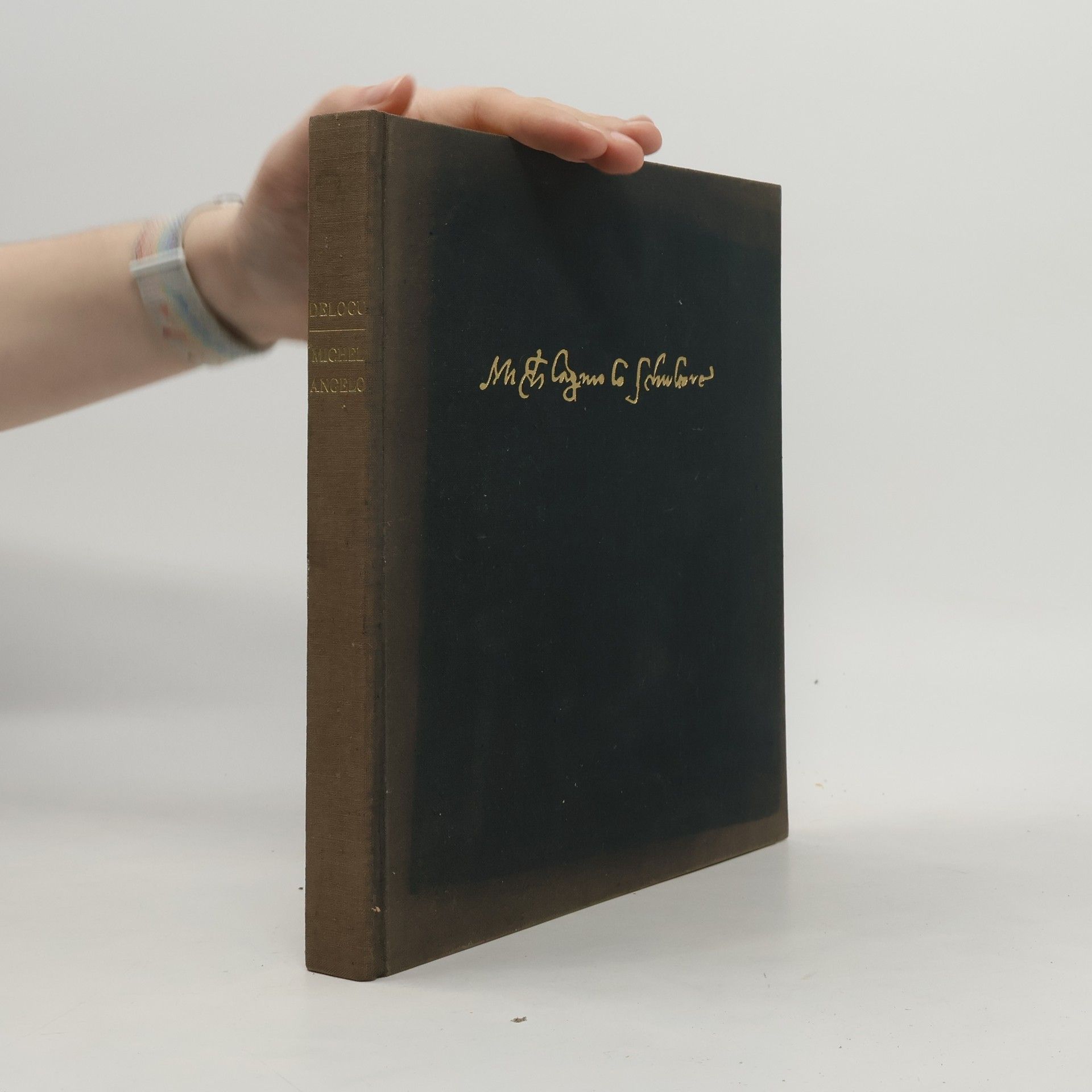 G. Delogu Michelangelo