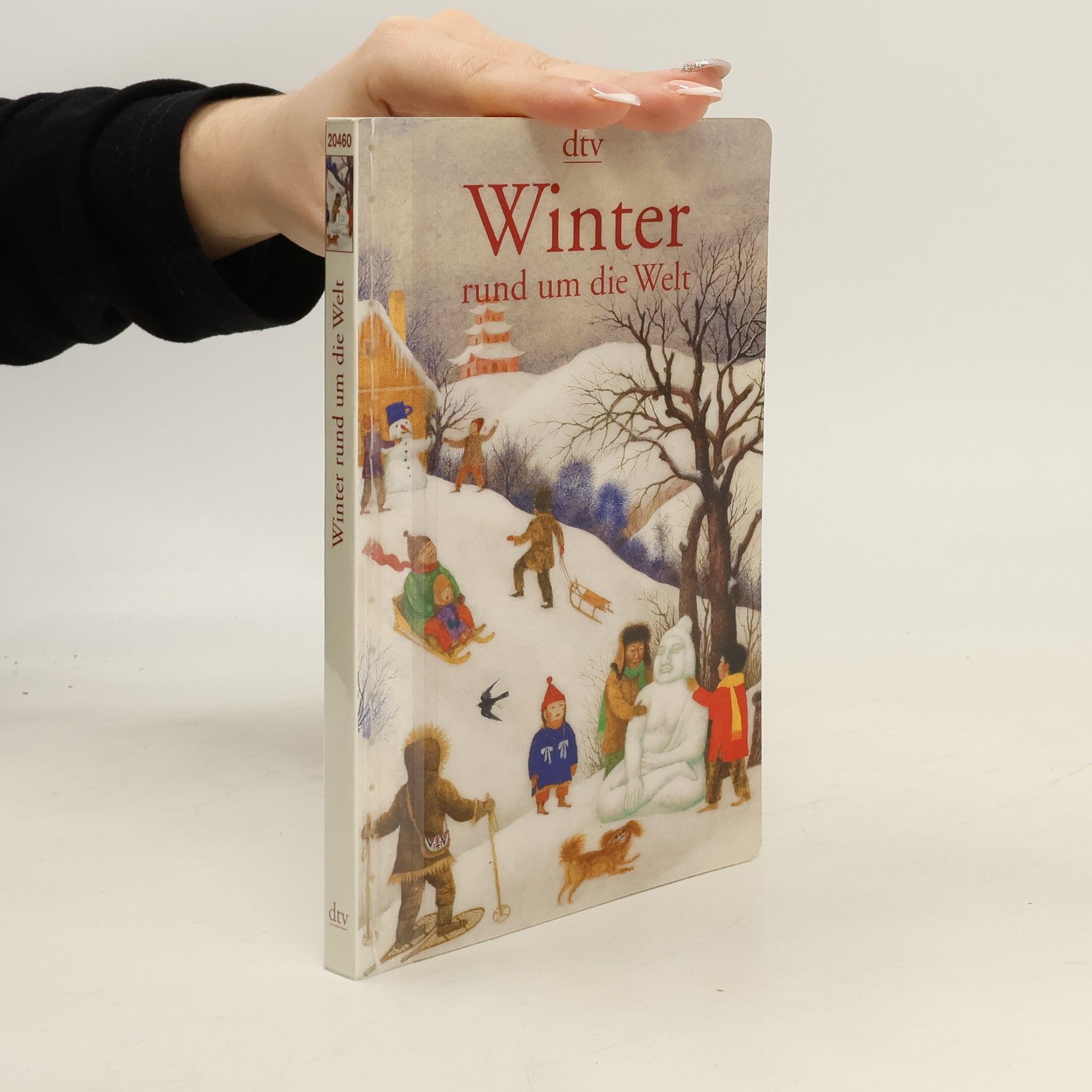 Winter rund um die Welt