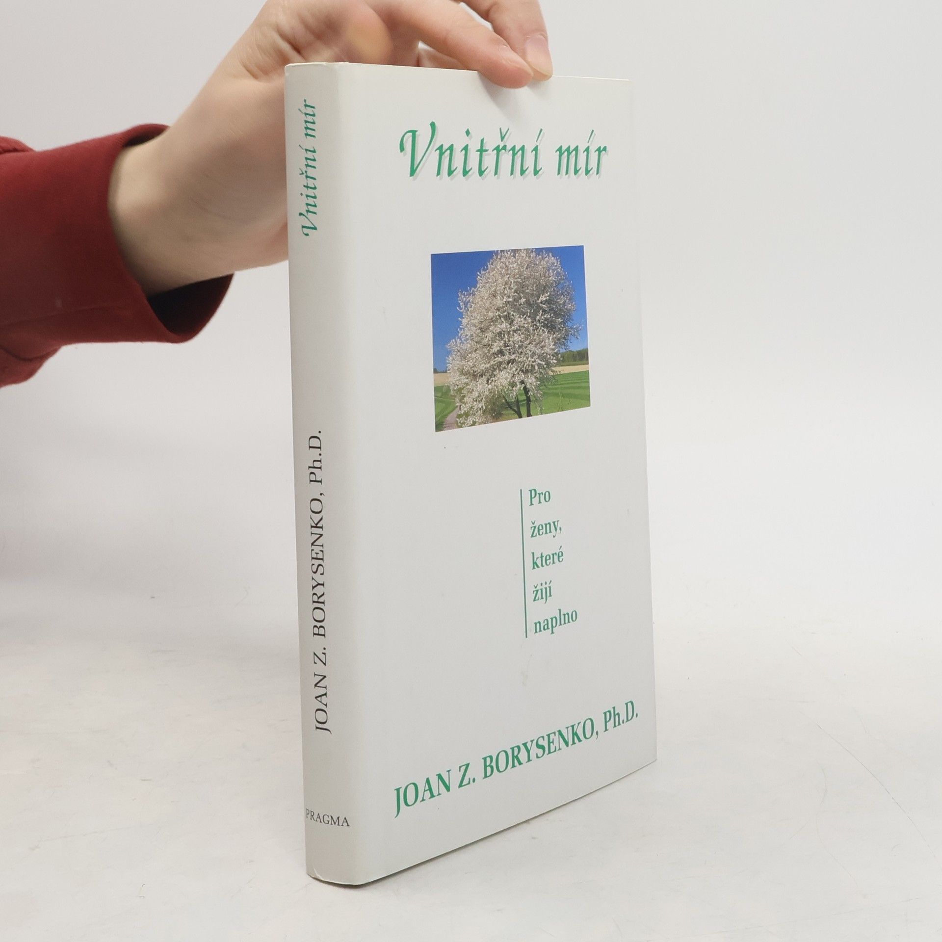 Joan Borysenko Vnitřní mír