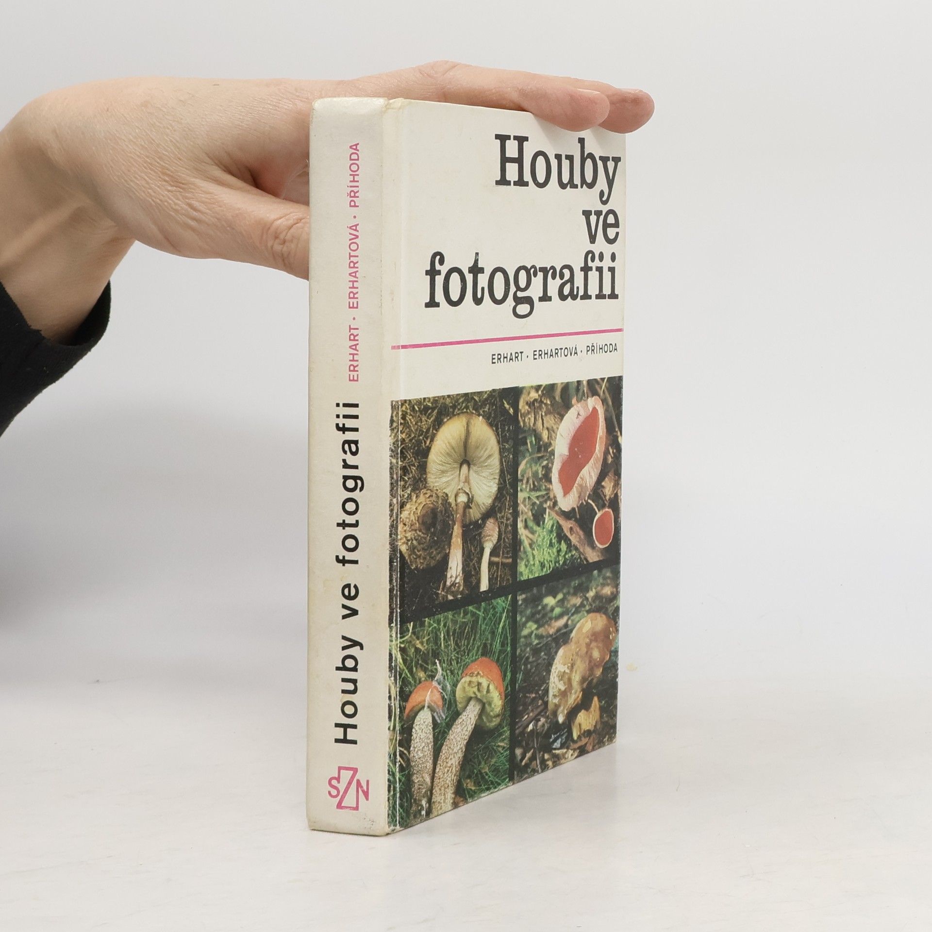 Houby ve fotografii