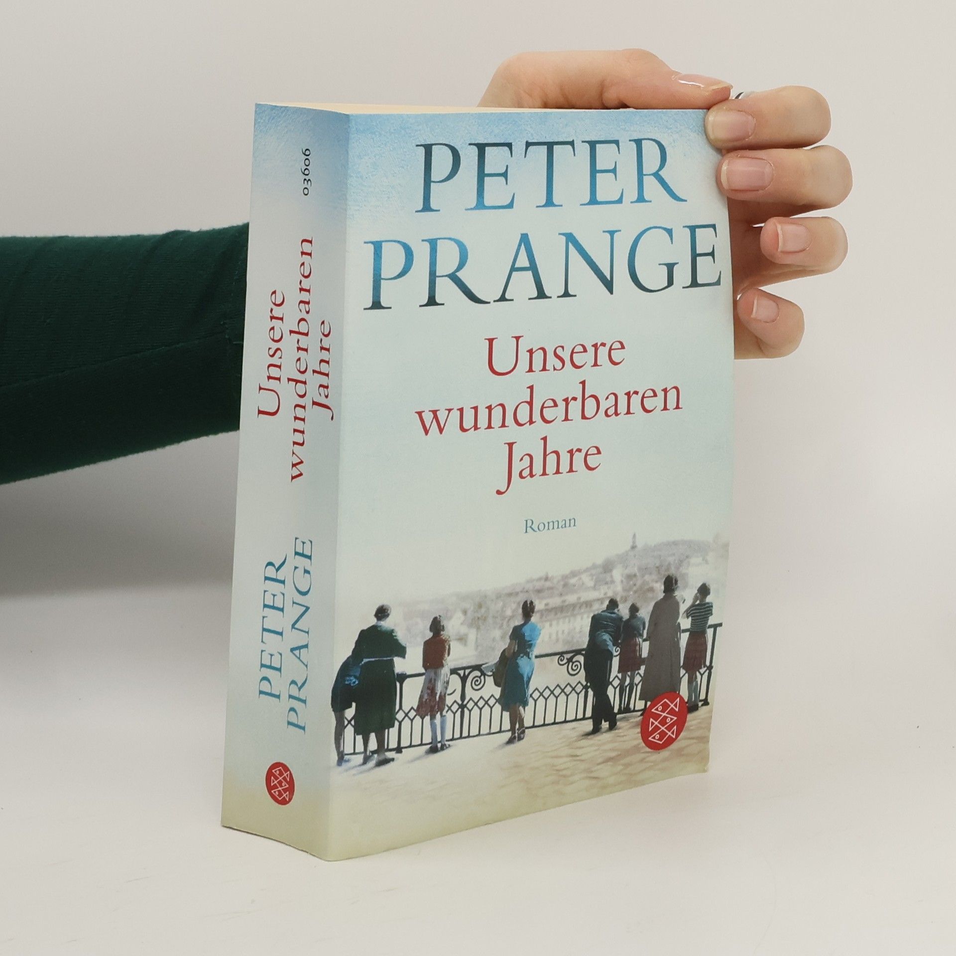 Peter Prange Unsere wunderbaren Jahre