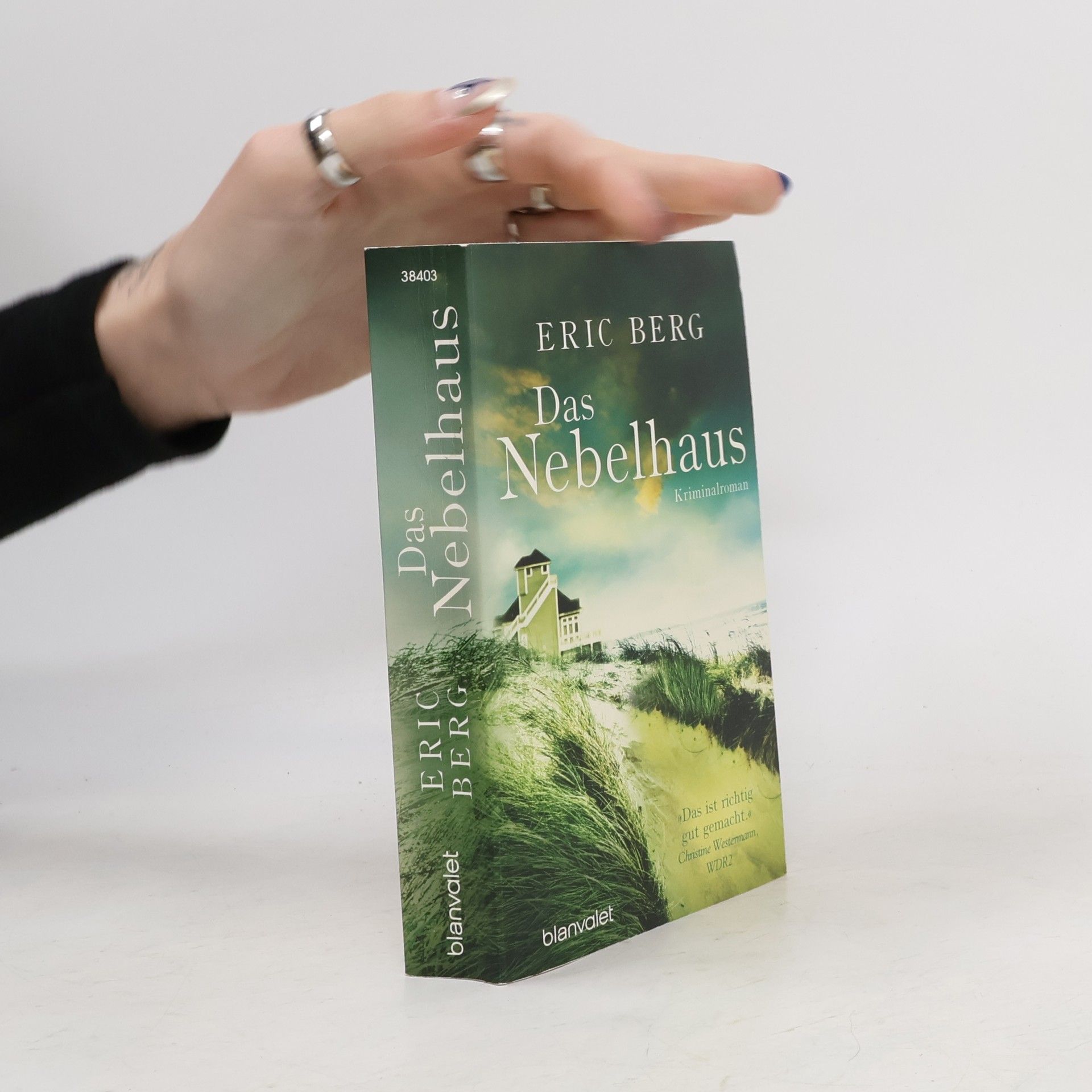 Eric Berg Das Nebelhaus