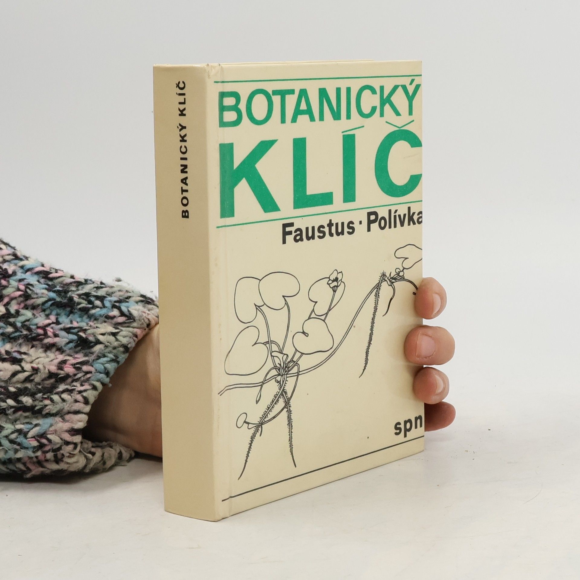 Botanický klíč