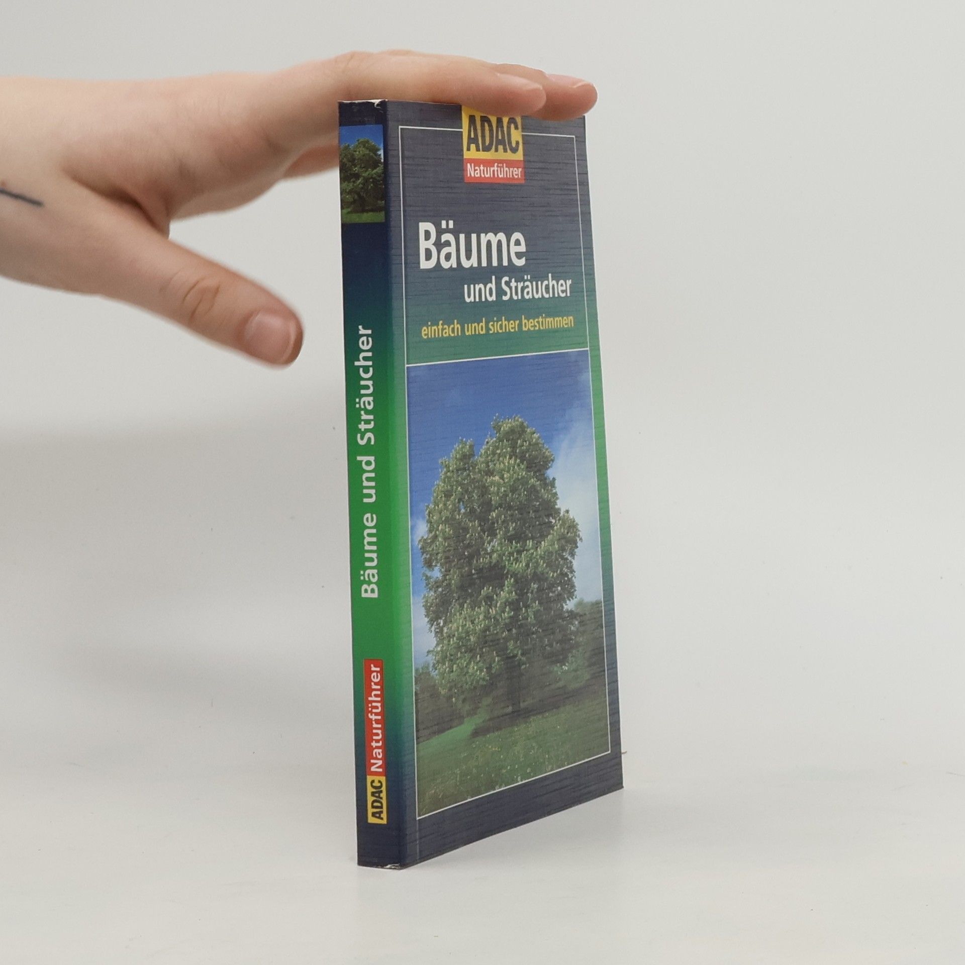 Michael Eppinger Bäume und Sträucher einfach und sicher bestimmen