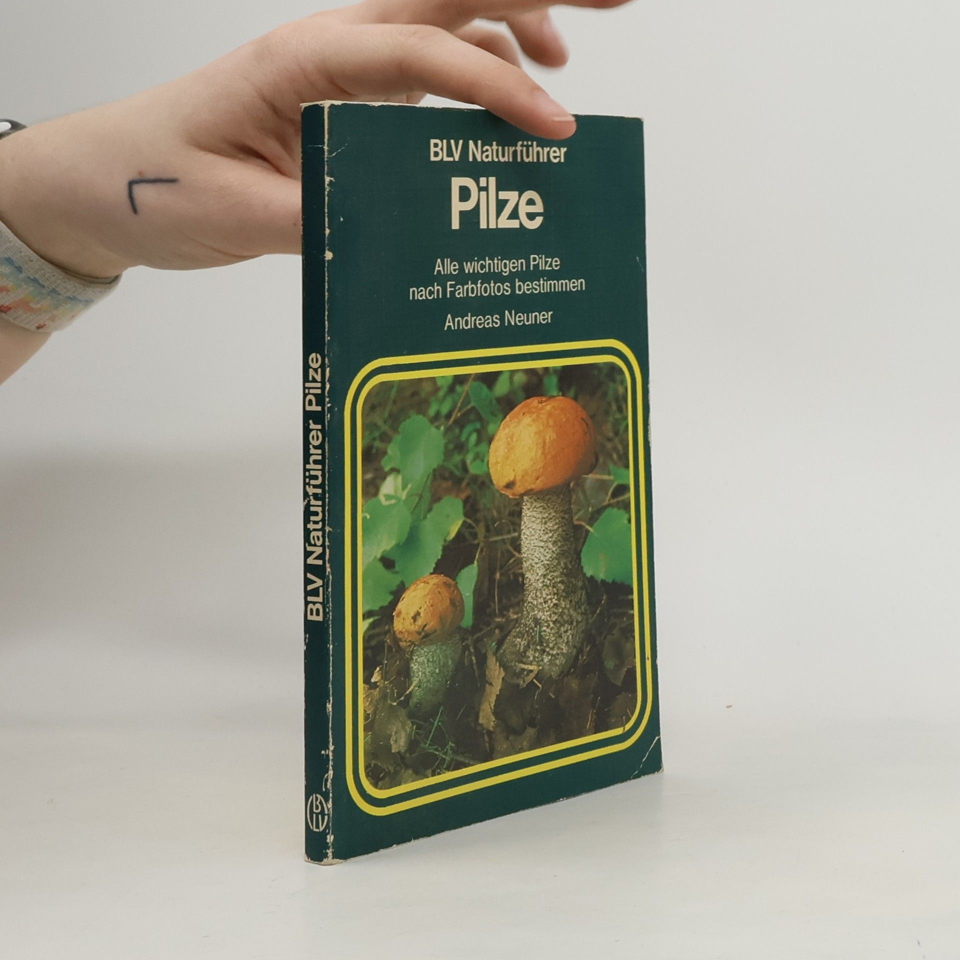 Andreas Neuner Pilze