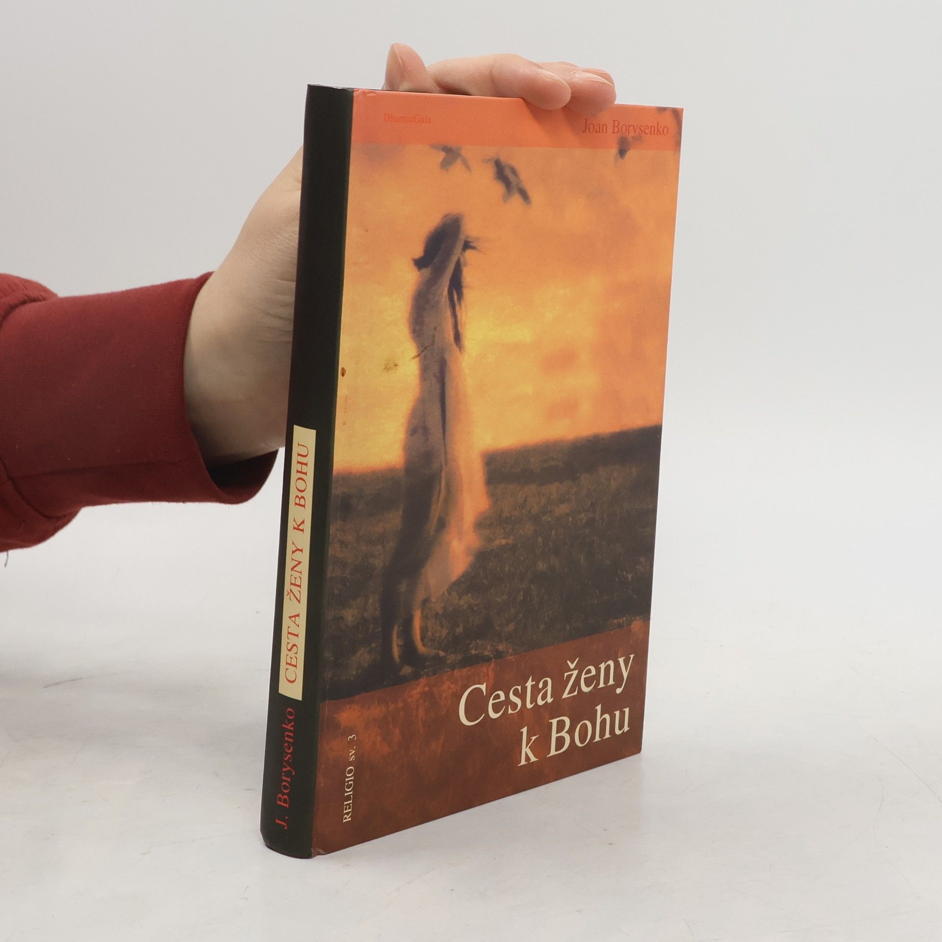 Joan Borysenko Cesta ženy k Bohu