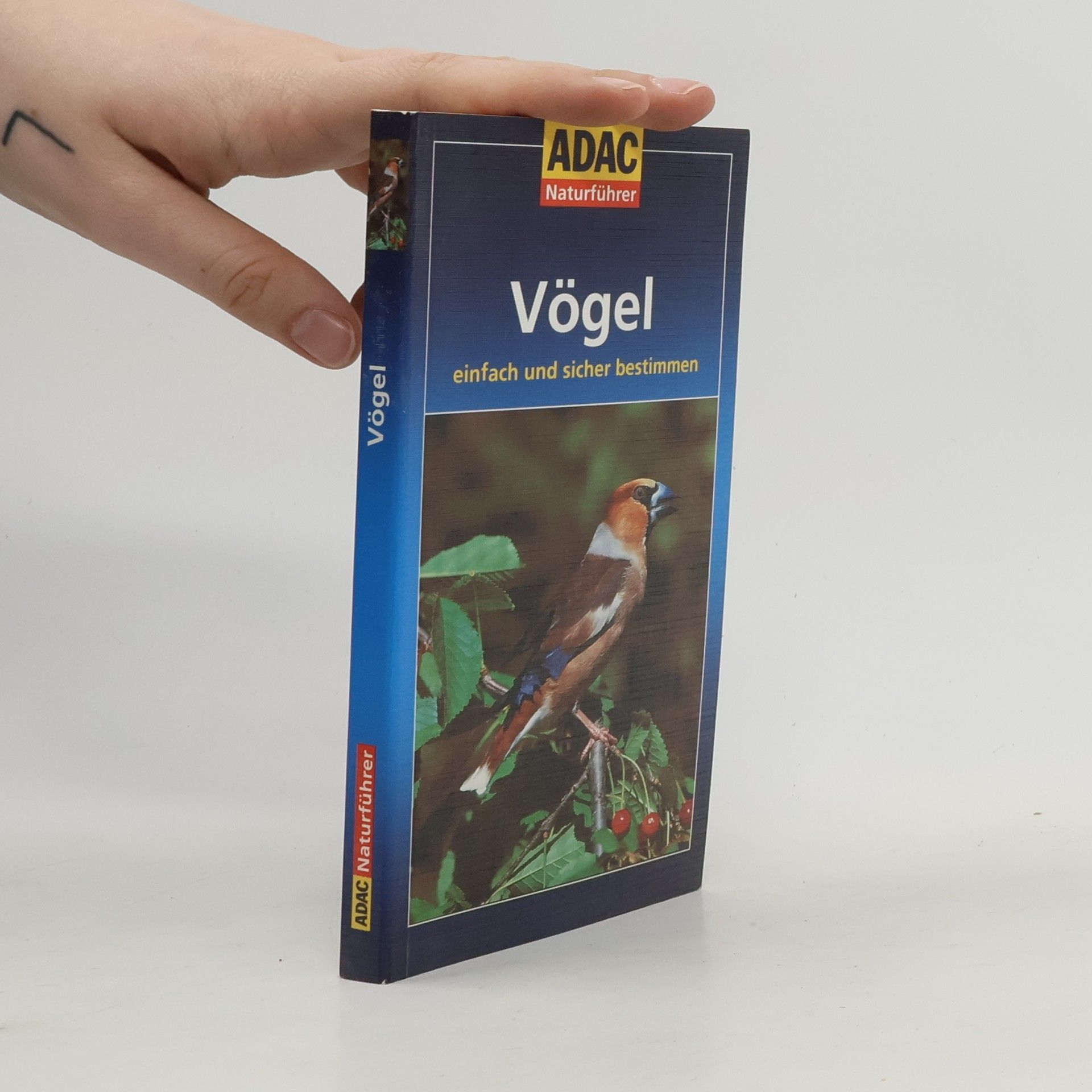 Helga Hofmann-Sieber Vögel einfach und sicher bestimmen