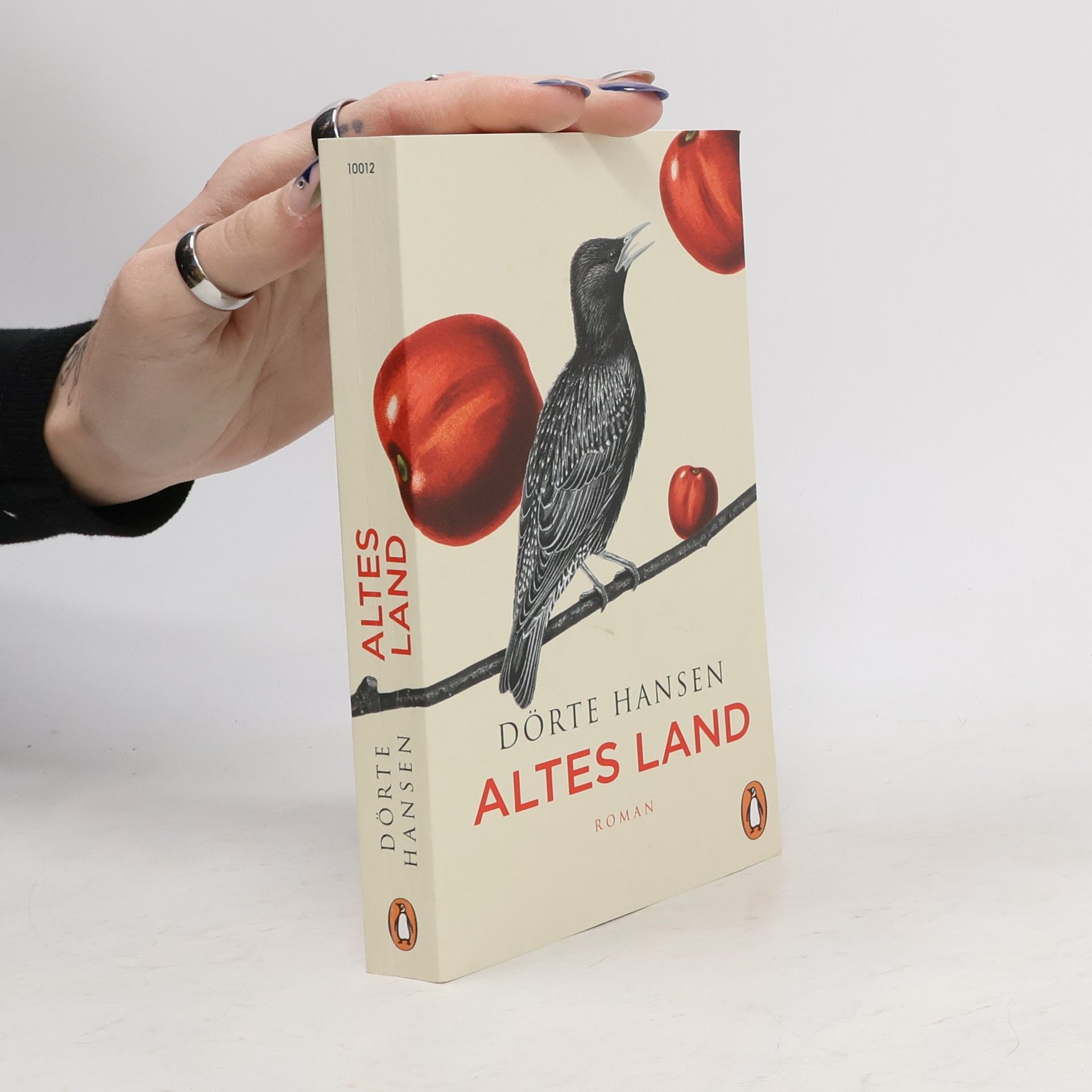 Dörte Hansen Altes Land