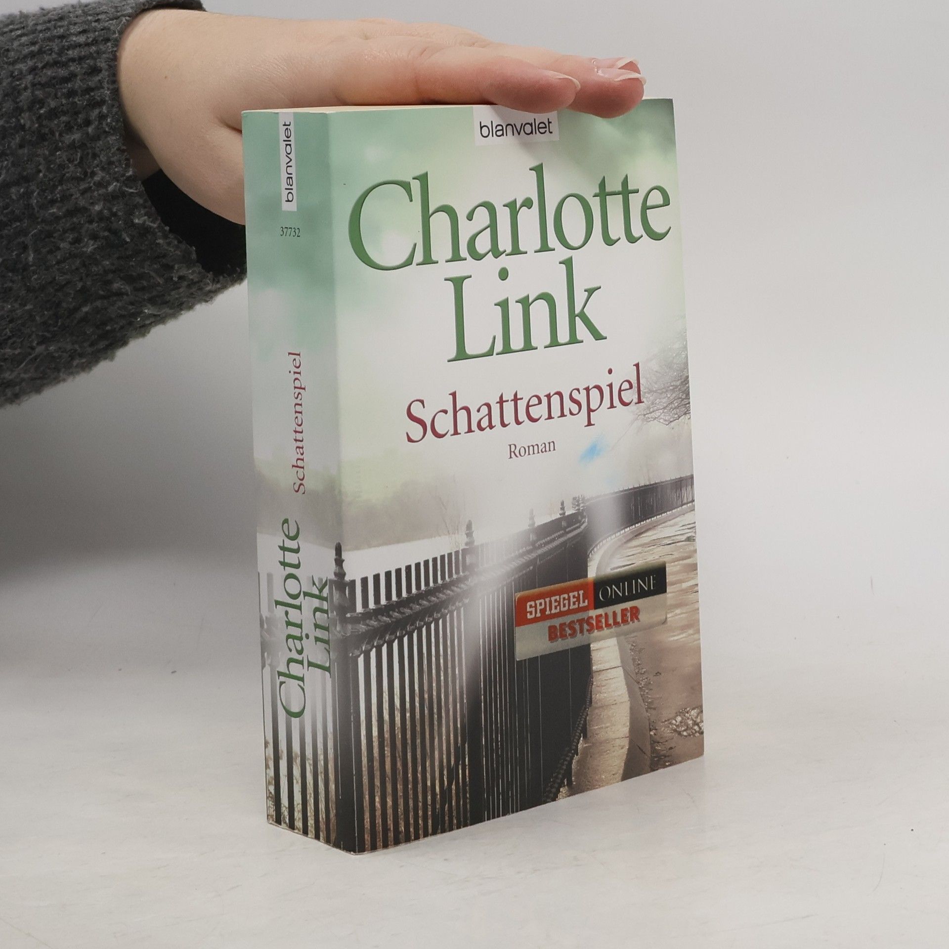 Charlotte Link Schattenspiel