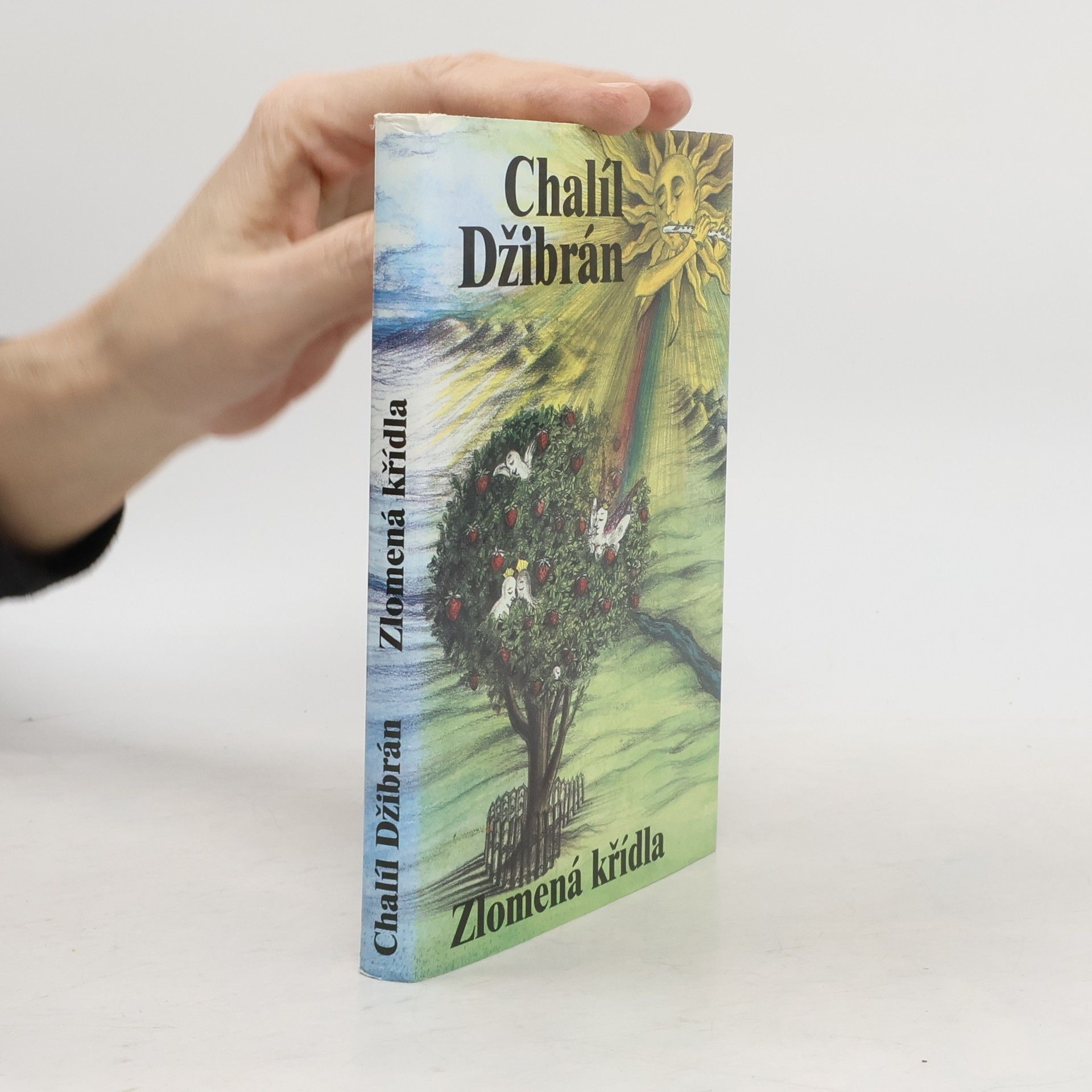 Chalíl Džibrán Zlomená křídla